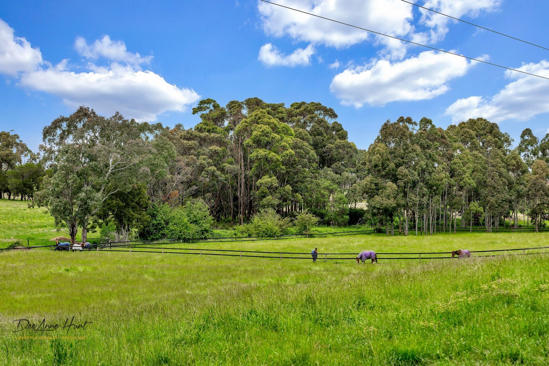 298 Old Mount Barker Road, Mount Barker Williams Real Estate