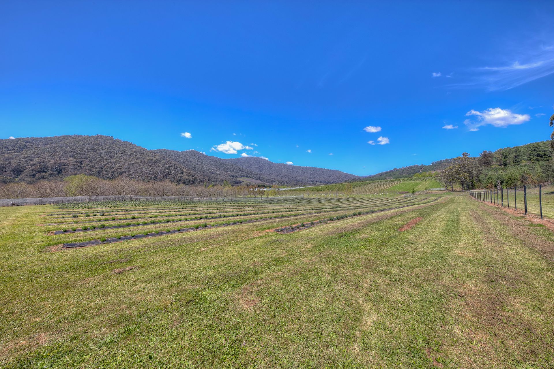 67 Jagoes Gully Road, Wandiligong Dickens Real Estate