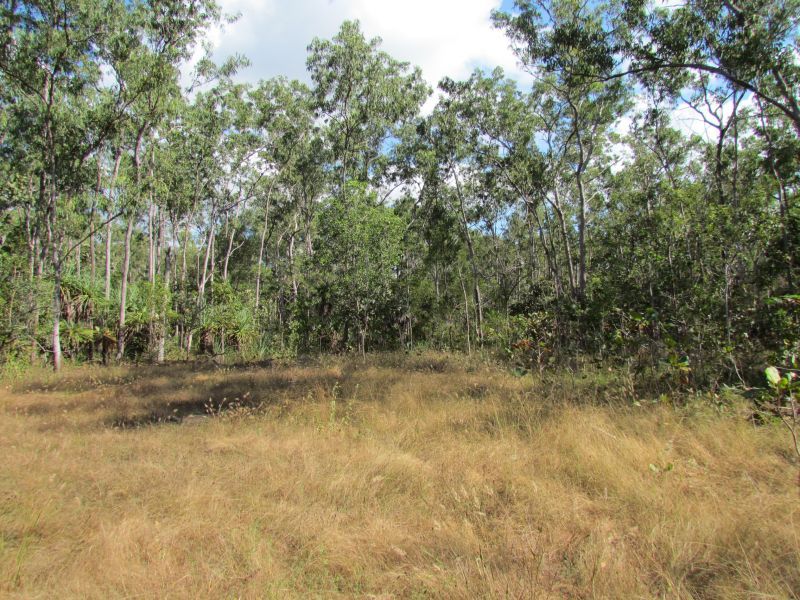 3033/ Arius Road, Dundee Downs McGees Property Darwin