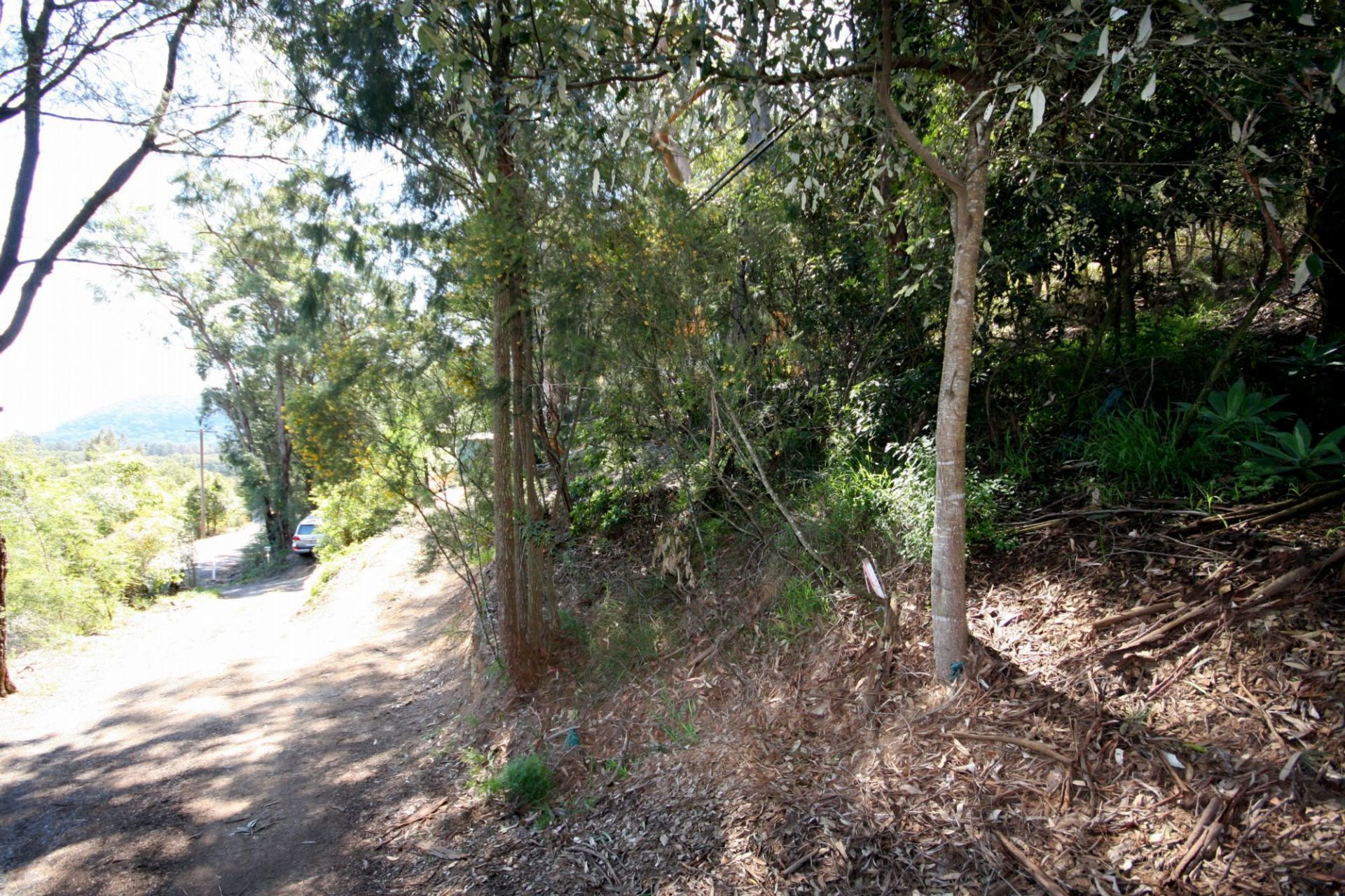 Real Estate For Sale 5966 Wisemans Ferry Road Gunderman , NSW