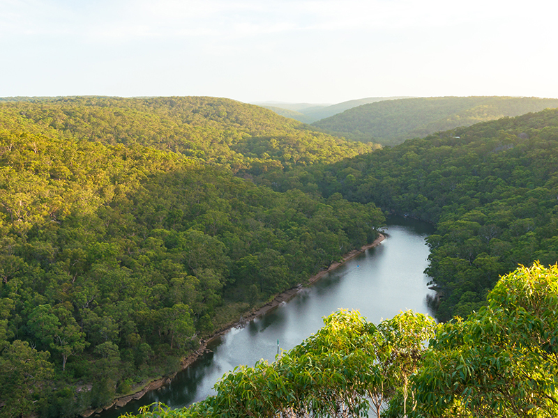 Barden Ridge Lot 24 Proposed Road Land For Sale 4013001