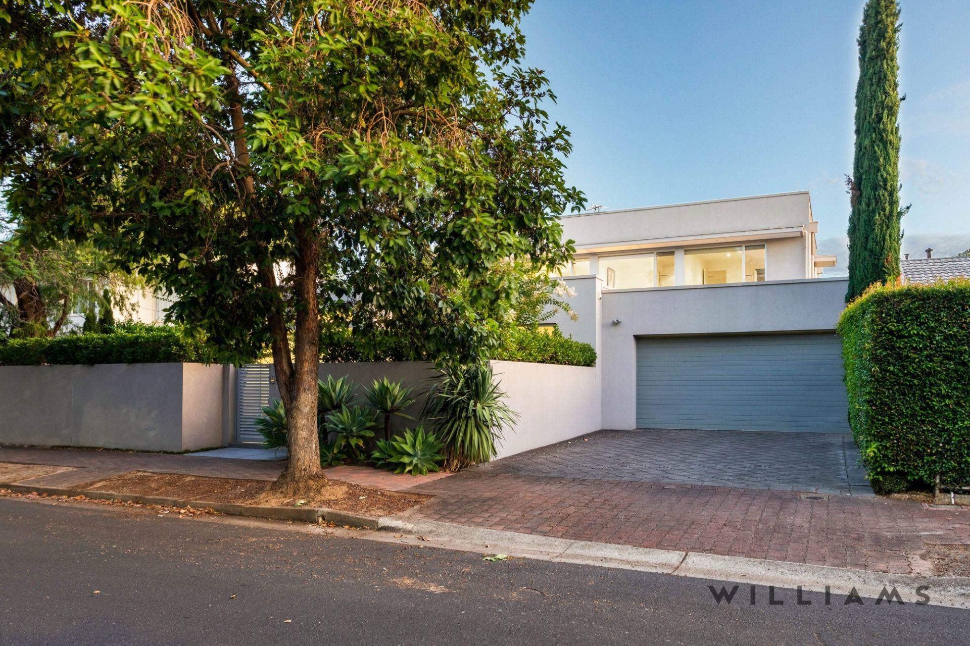 31 Malcolm Street, Millswood Williams Real Estate