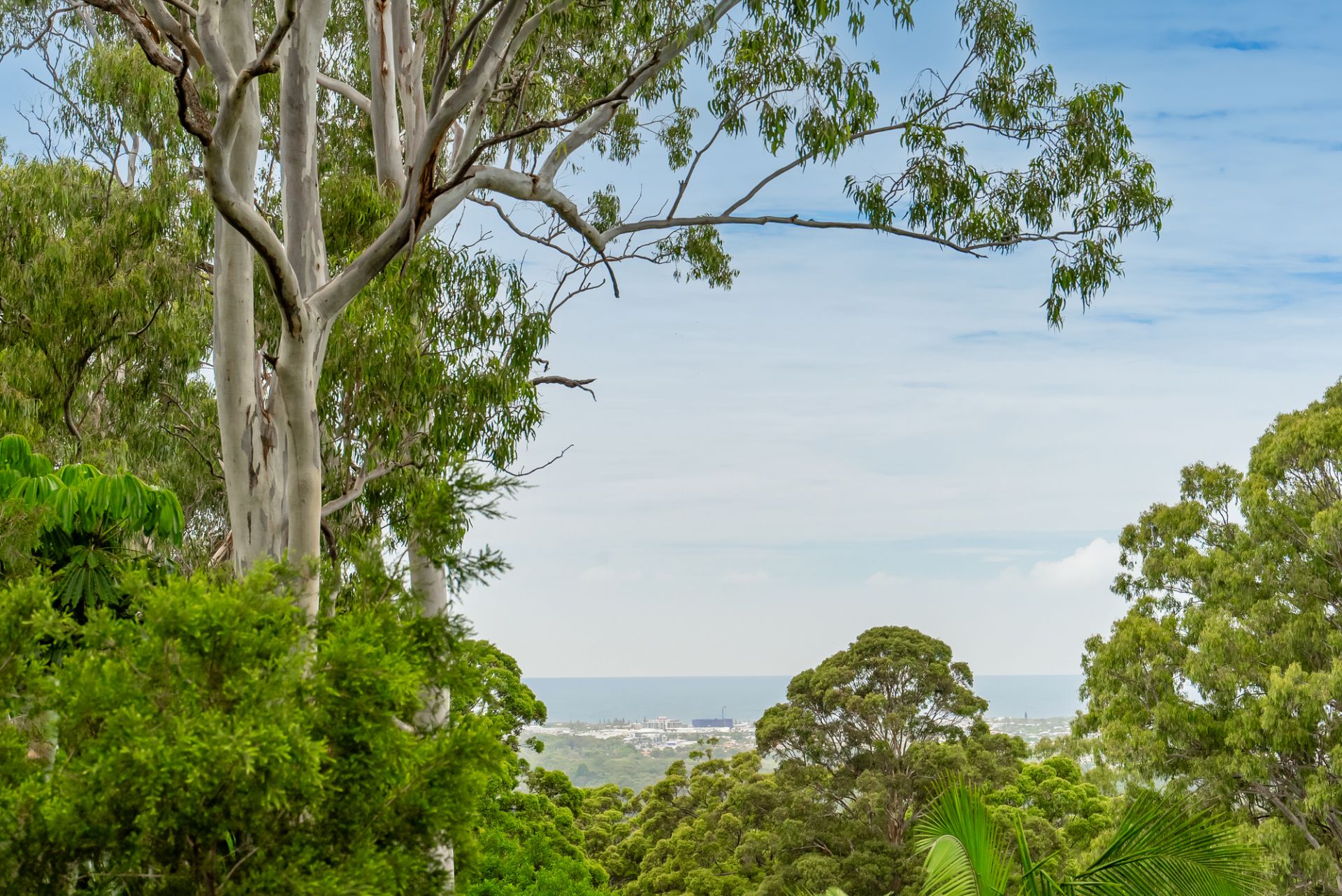 74 Nyes Crescent, Buderim Property Lane Realty