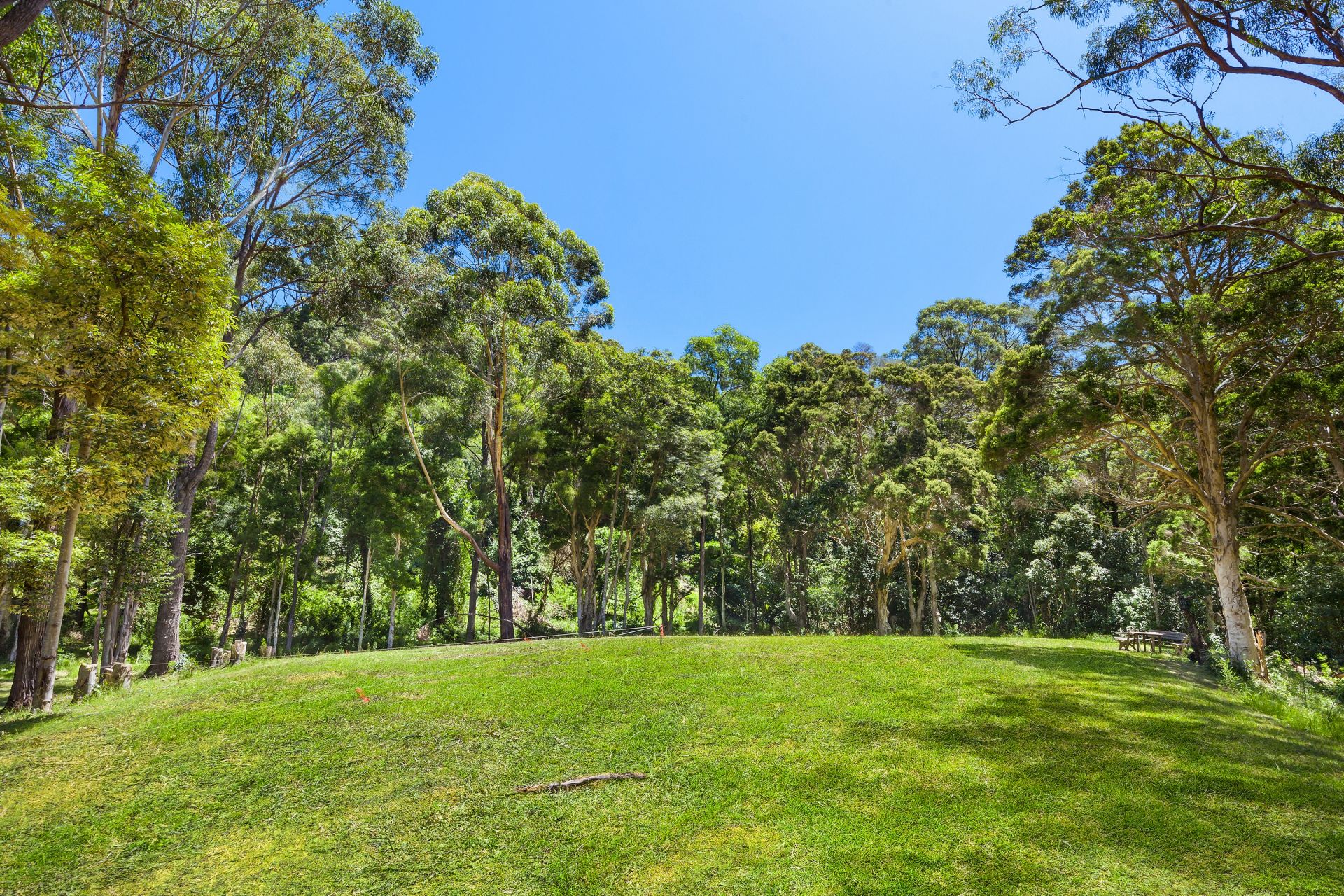 Real Estate For Sale 62A Wellington Drive Balgownie , NSW
