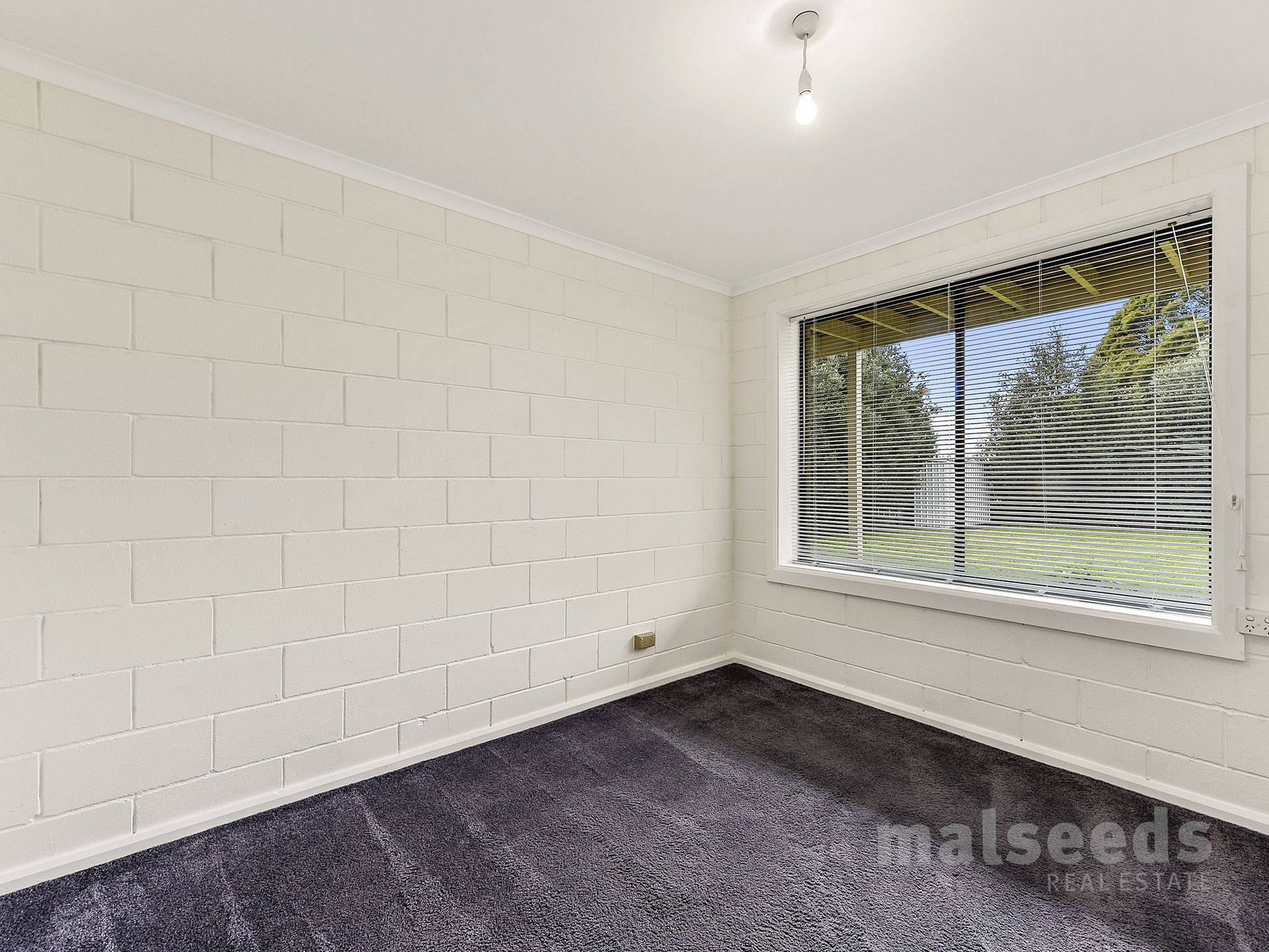 8 Locke Street, Mount Gambier Malseeds Real Estate