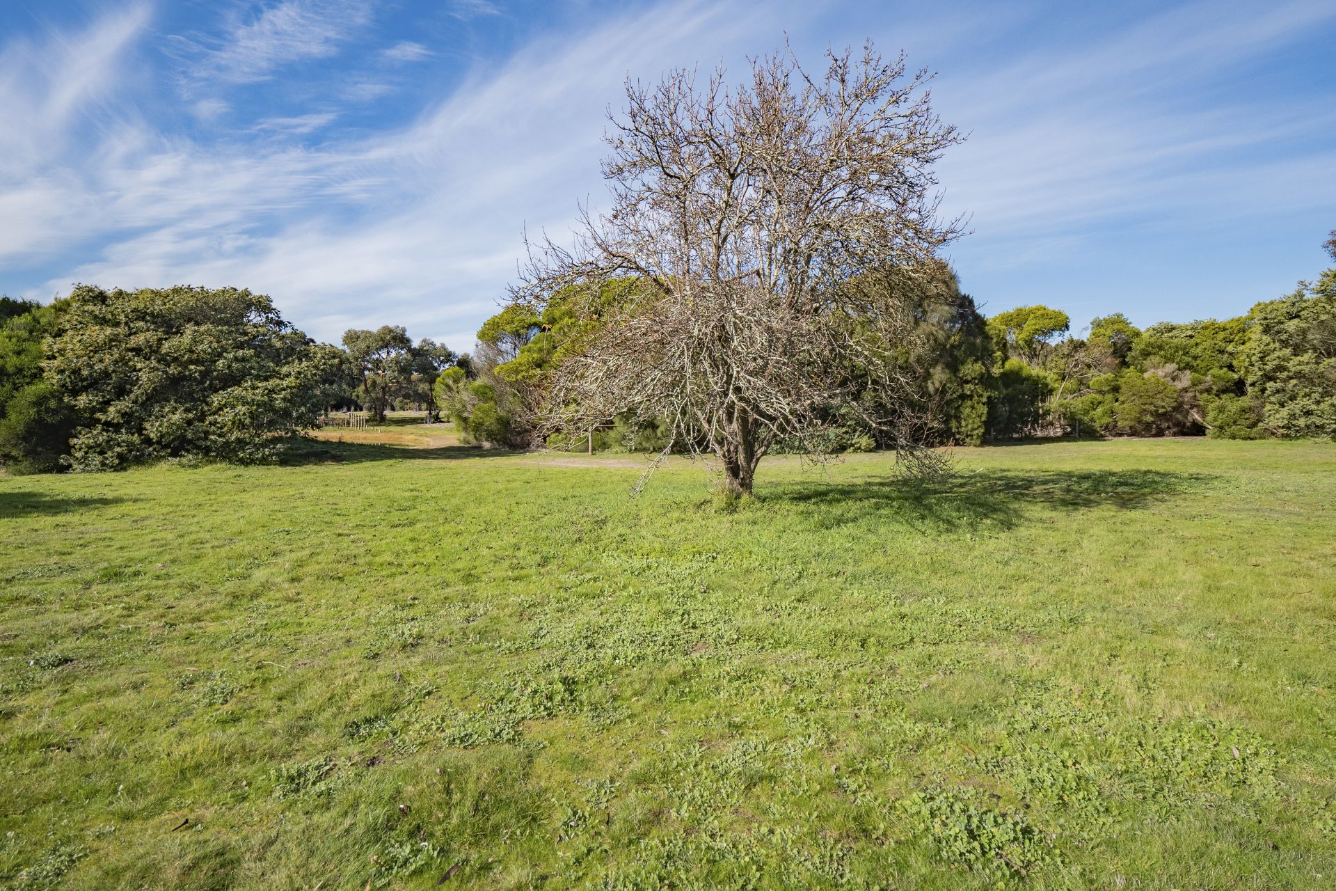Real Estate For Sale 849 Great Ocean Road Bellbrae , VIC