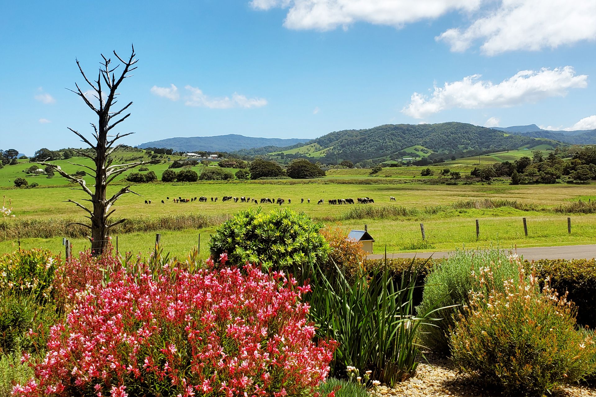 5B Short Street, Gerringong First National Coast & Country Real Estate