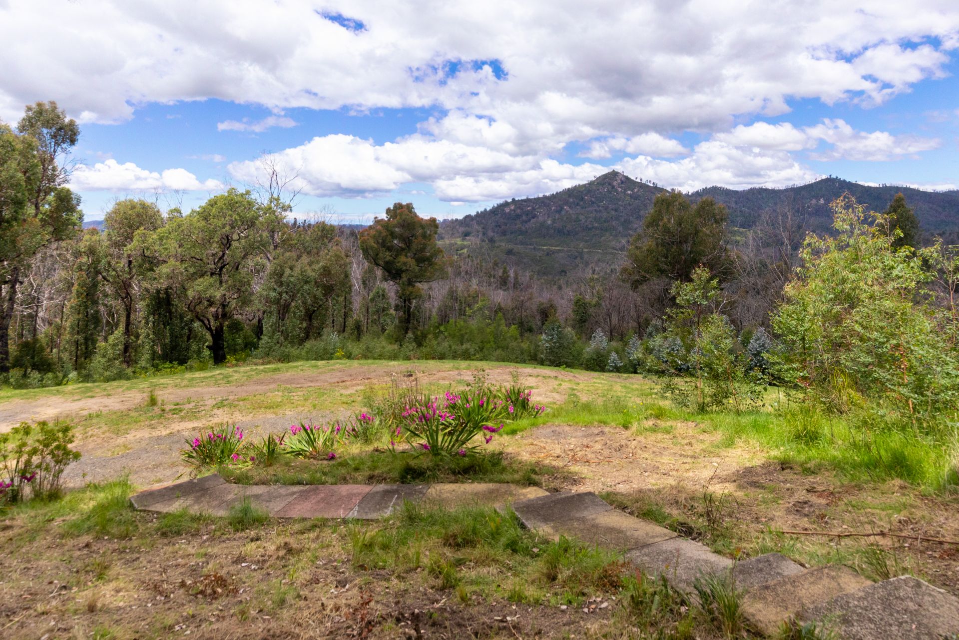 25 Murrabrine Forest Road, Yowrie Butterfield Property