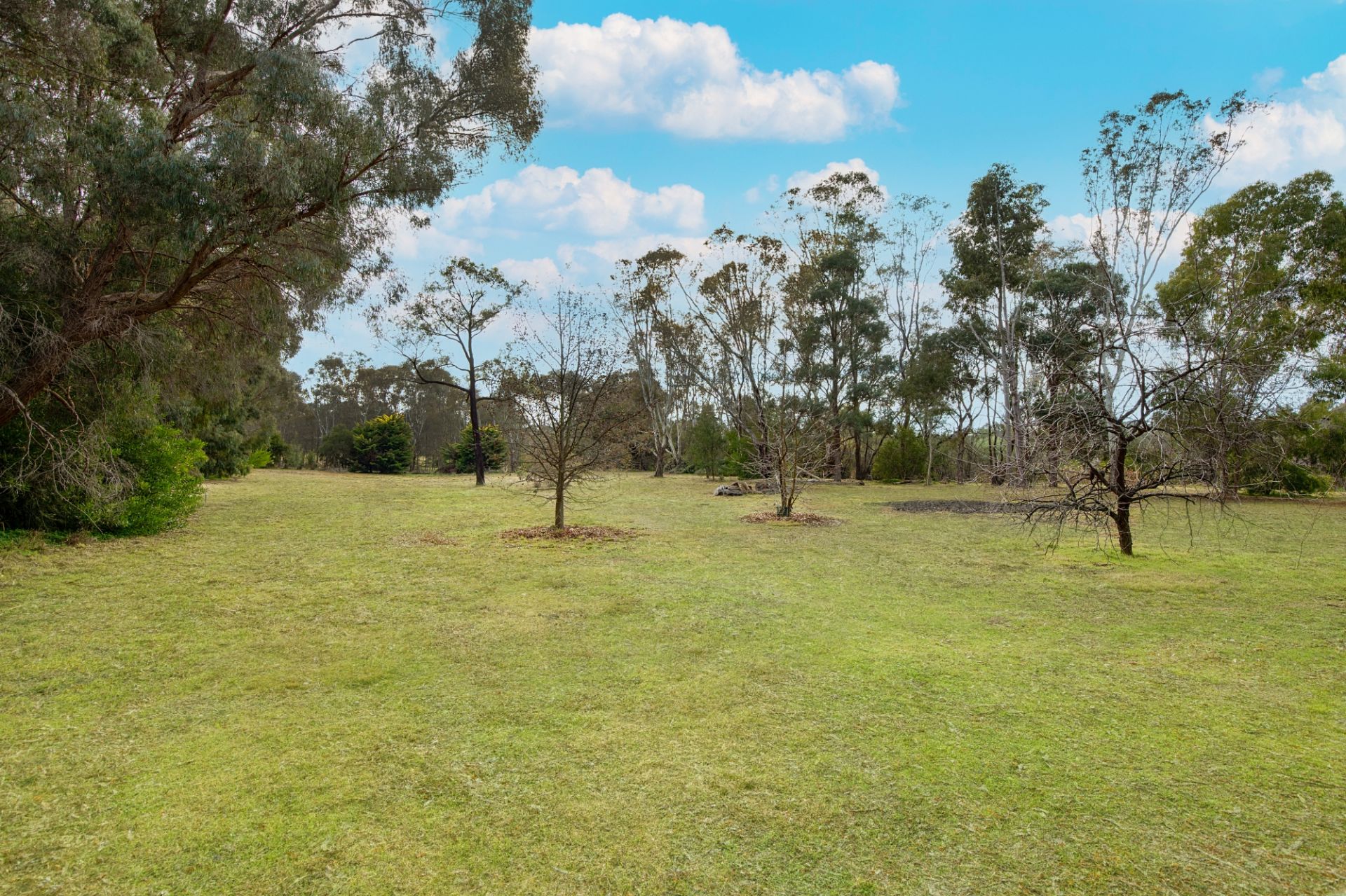 403 Sedgwick Road, Sedgwick Bendigo Ballarat Real Estate Pty Ltd