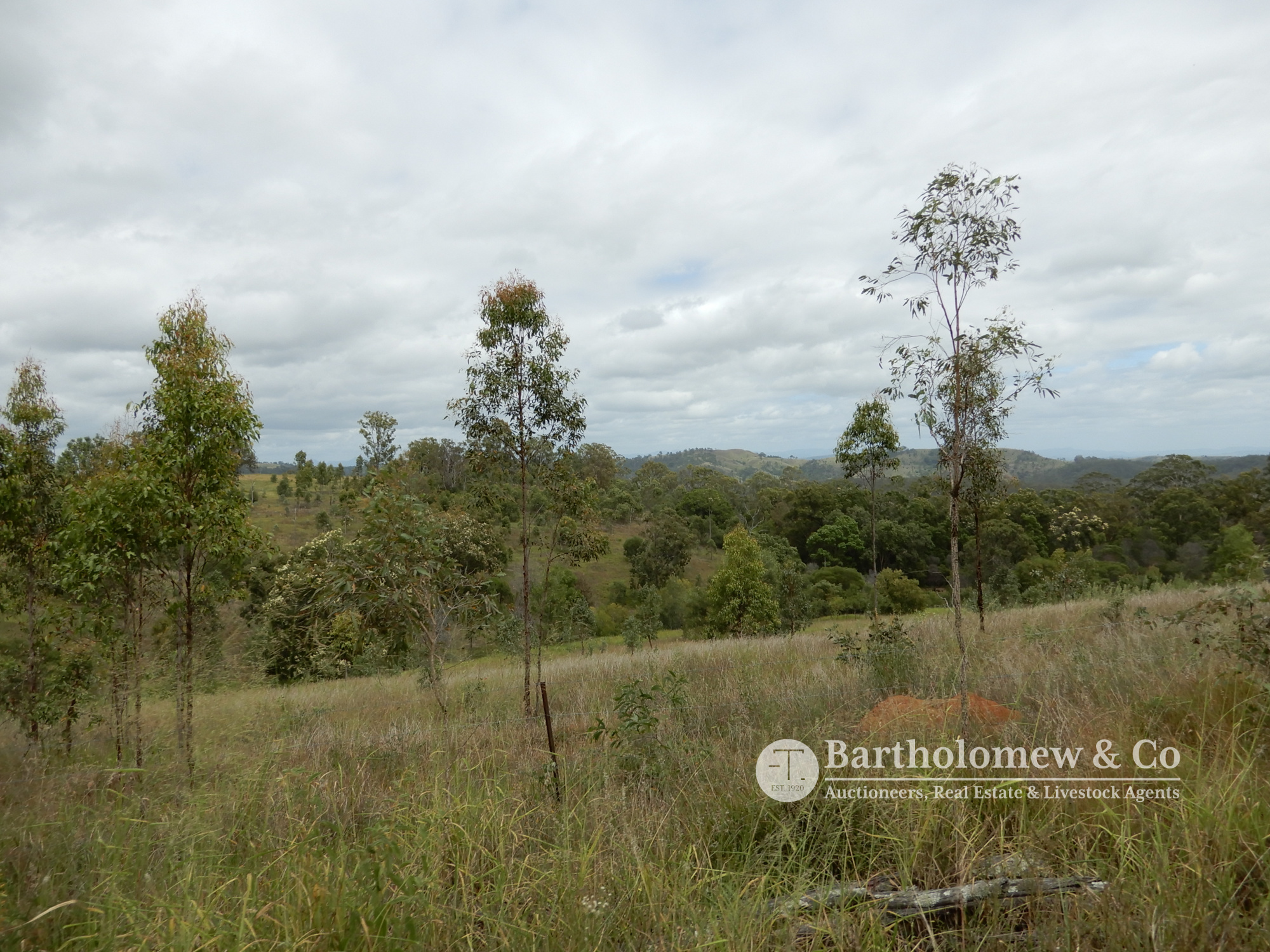 Real Estate For Sale 962 Green Hills Road Kooralbyn , QLD