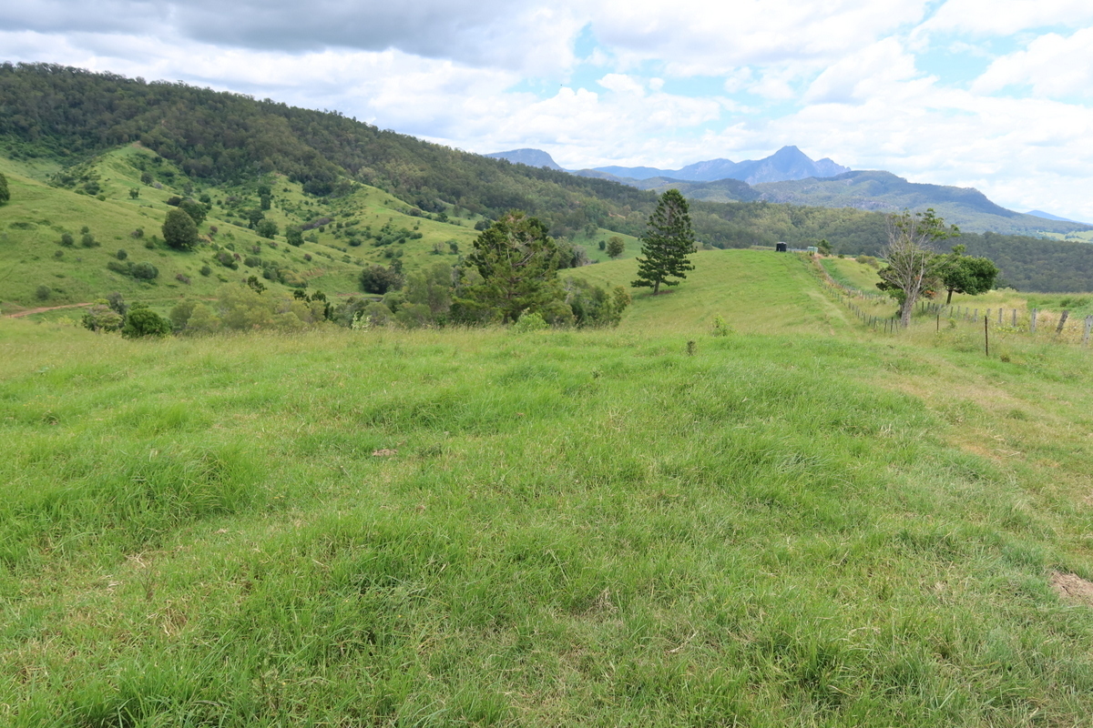 Real Estate For Sale 189A Snake Gully Road Palen Creek , QLD