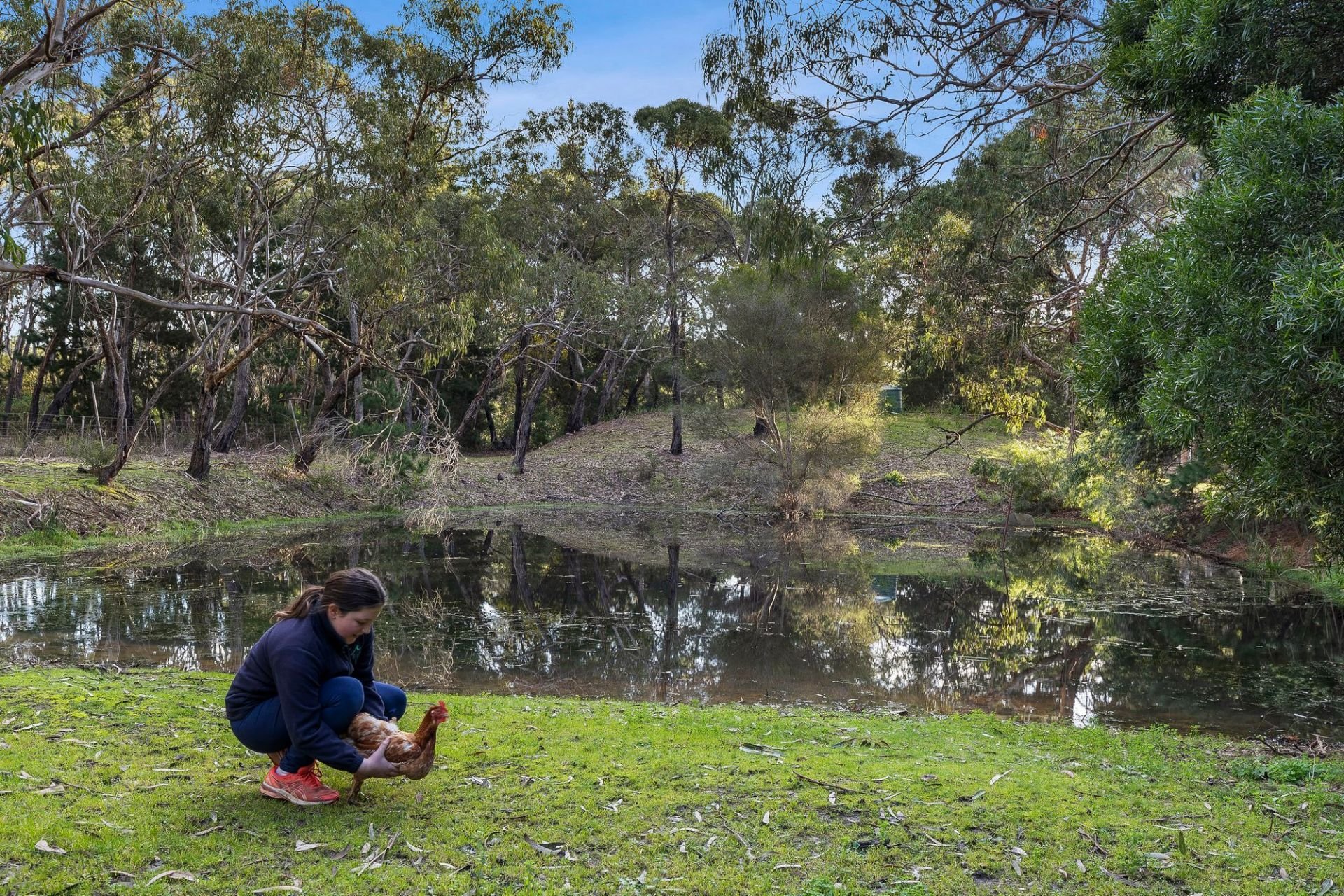 Real Estate For Sale 447 Grubb Road Wallington , VIC