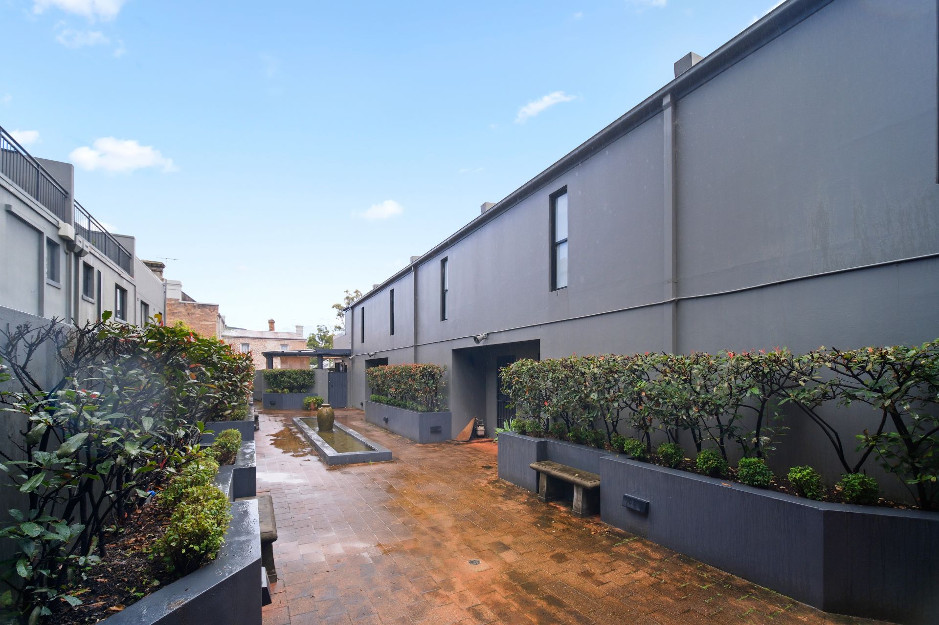 Real Estate For Lease 8/7A Ivy Street Darlington , NSW