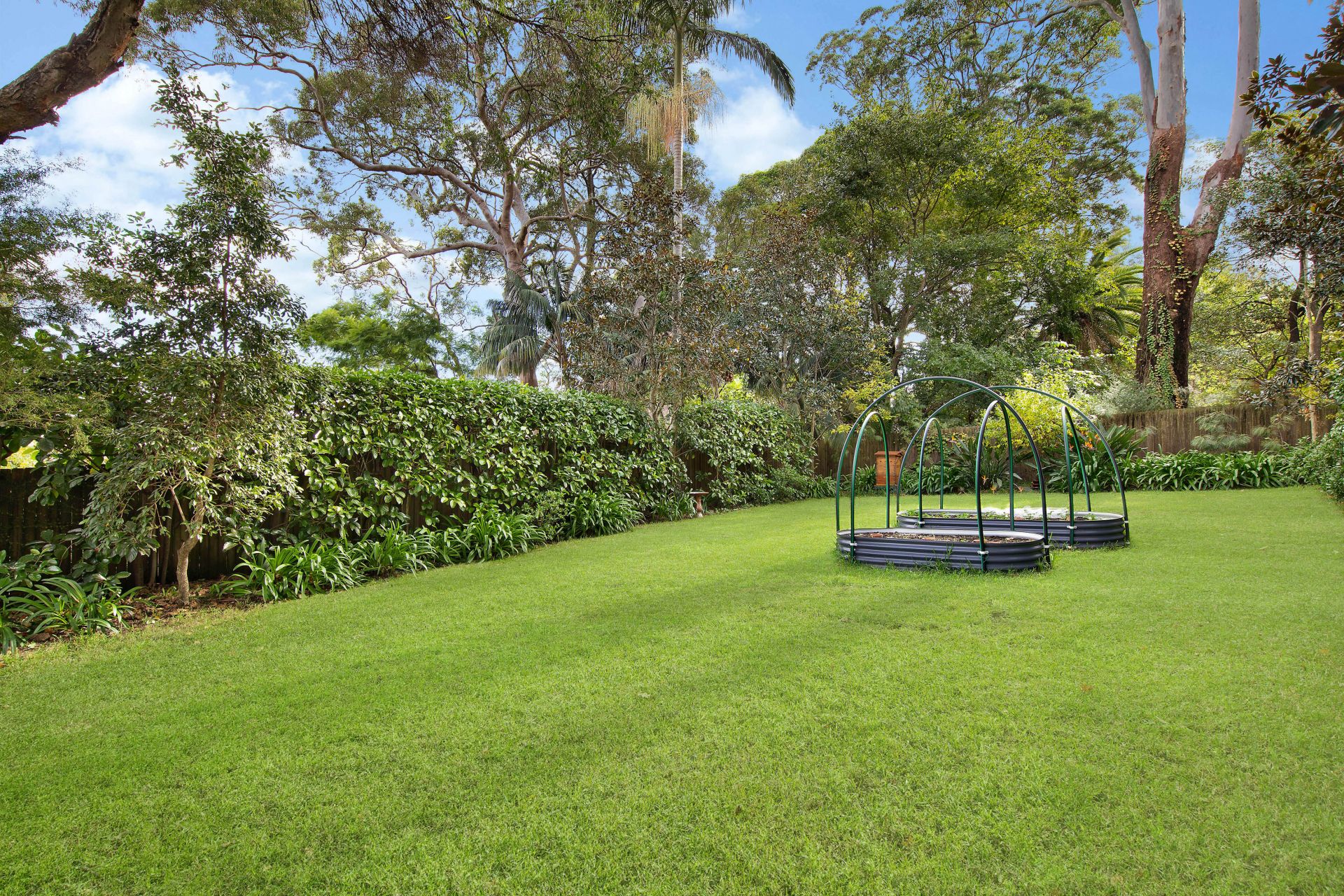 Real Estate For Lease 21 Balfour Street Lindfield , NSW