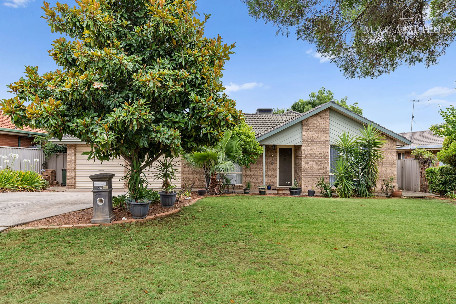 20 Sackville Drive, Forest Hill Macarthur Real Estate Agency