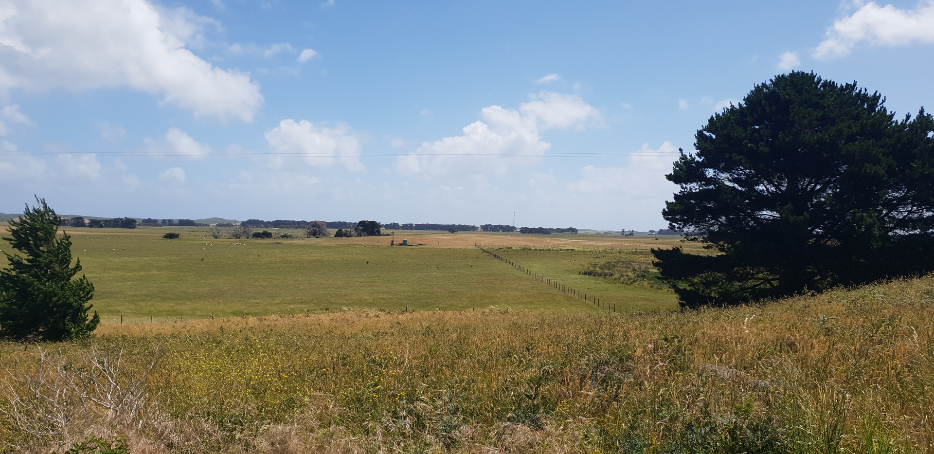 PORT FAIRY YAMBUK 2 TITLES 95.75 ACRES / 4.75 ACRES FARM HOUSE