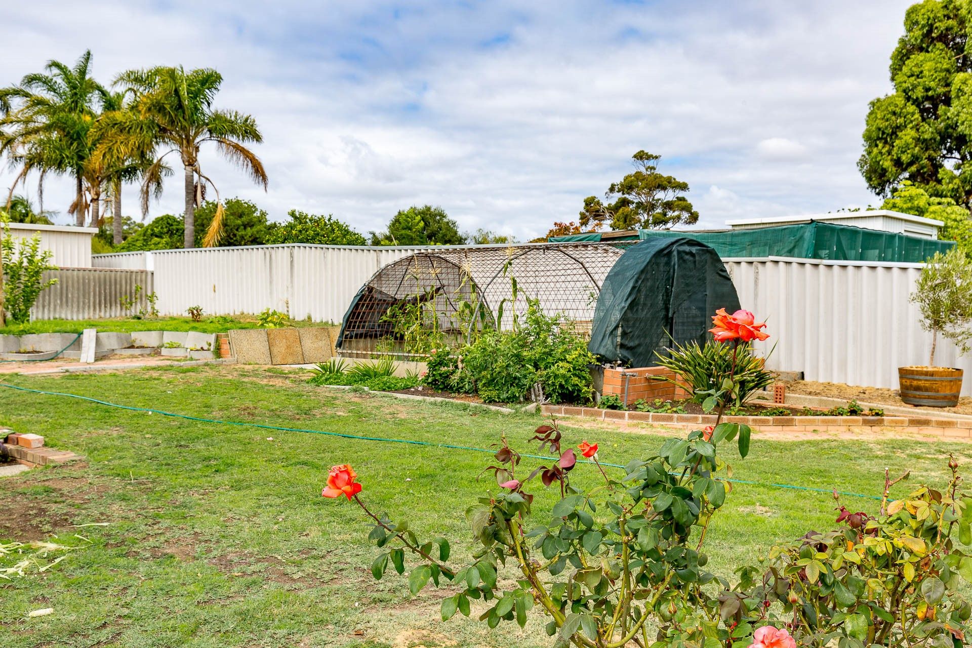 Real Estate For Sale 341 Old Coast Road Australind , WA