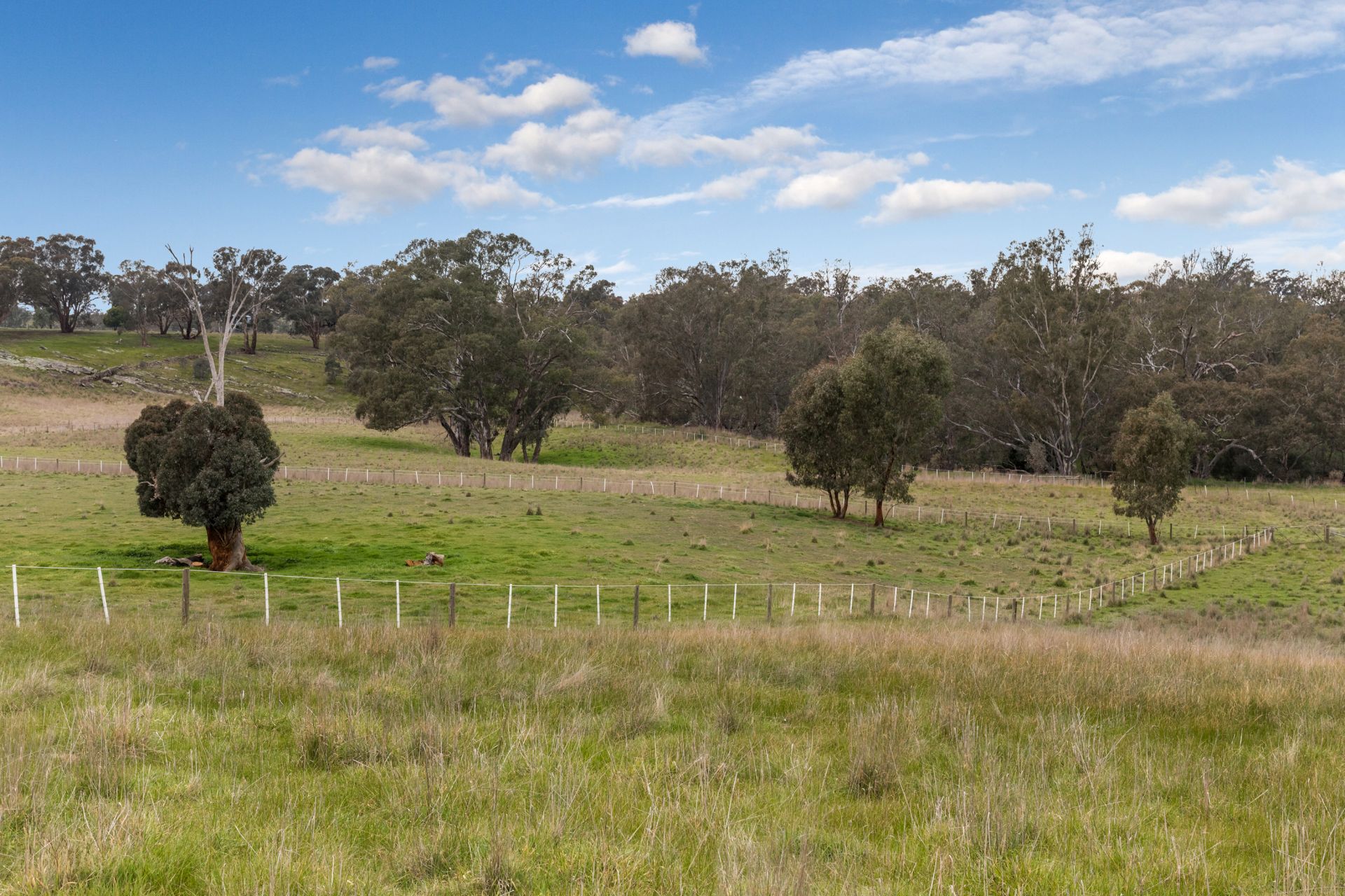 174 Axedale Goornong Road, Axedale Bendigo Ballarat Real Estate Pty Ltd