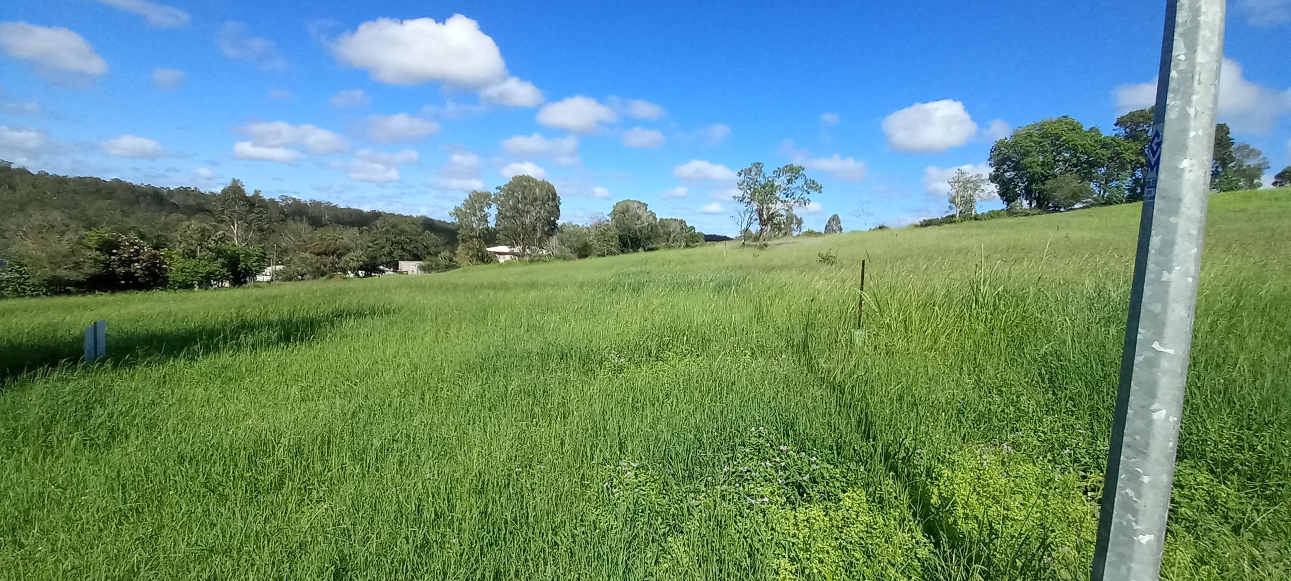 Real Estate For Sale 7 Sanctuary Court Apple Tree Creek , QLD