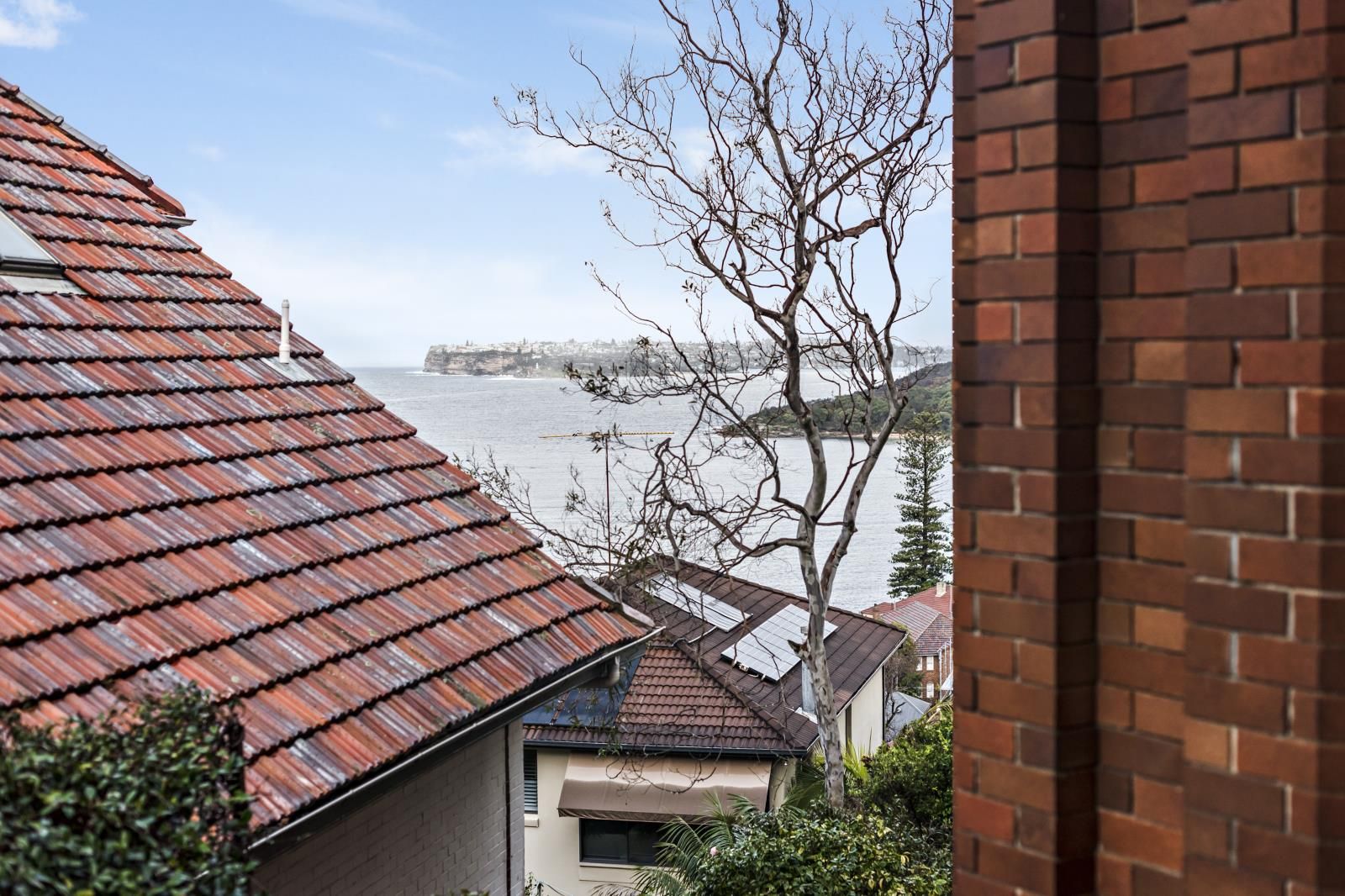 Real Estate For Lease 2/41 Fairlight Street Fairlight , NSW