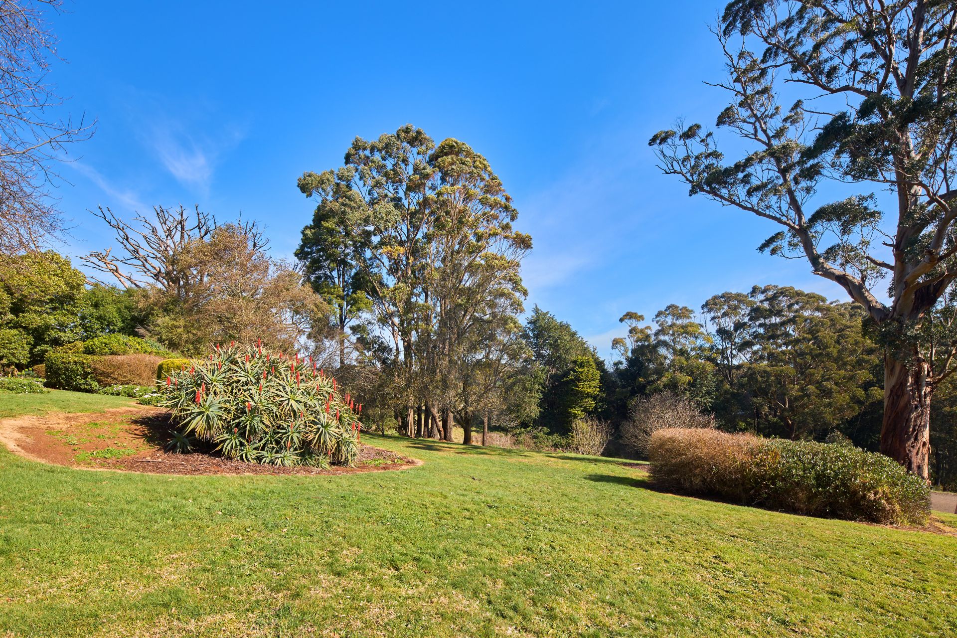 44 Ryans Road, Trafalgar South OBrien Real Estate