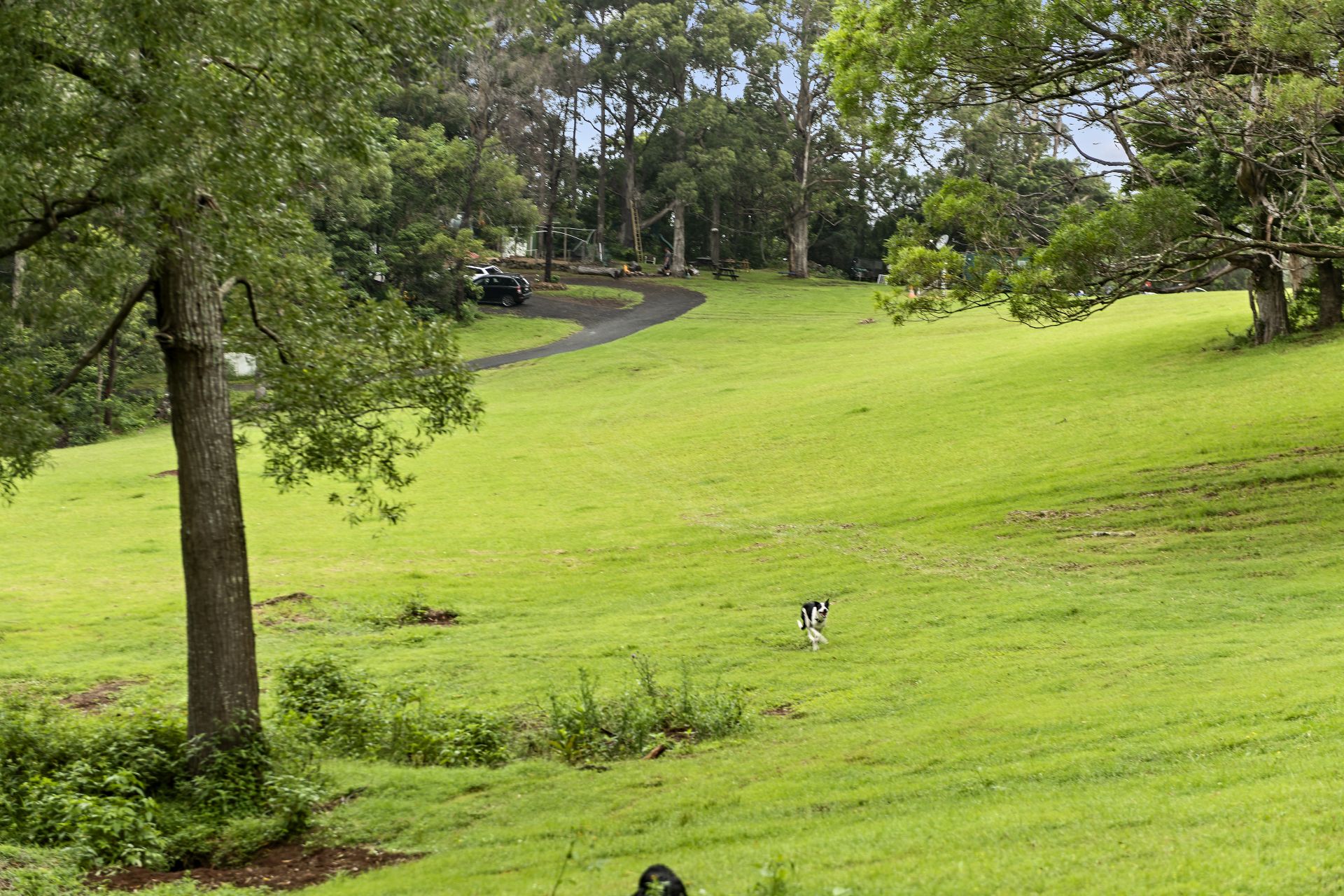144 Jamberoo Mountain Road, Jamberoo First National Coast & Country