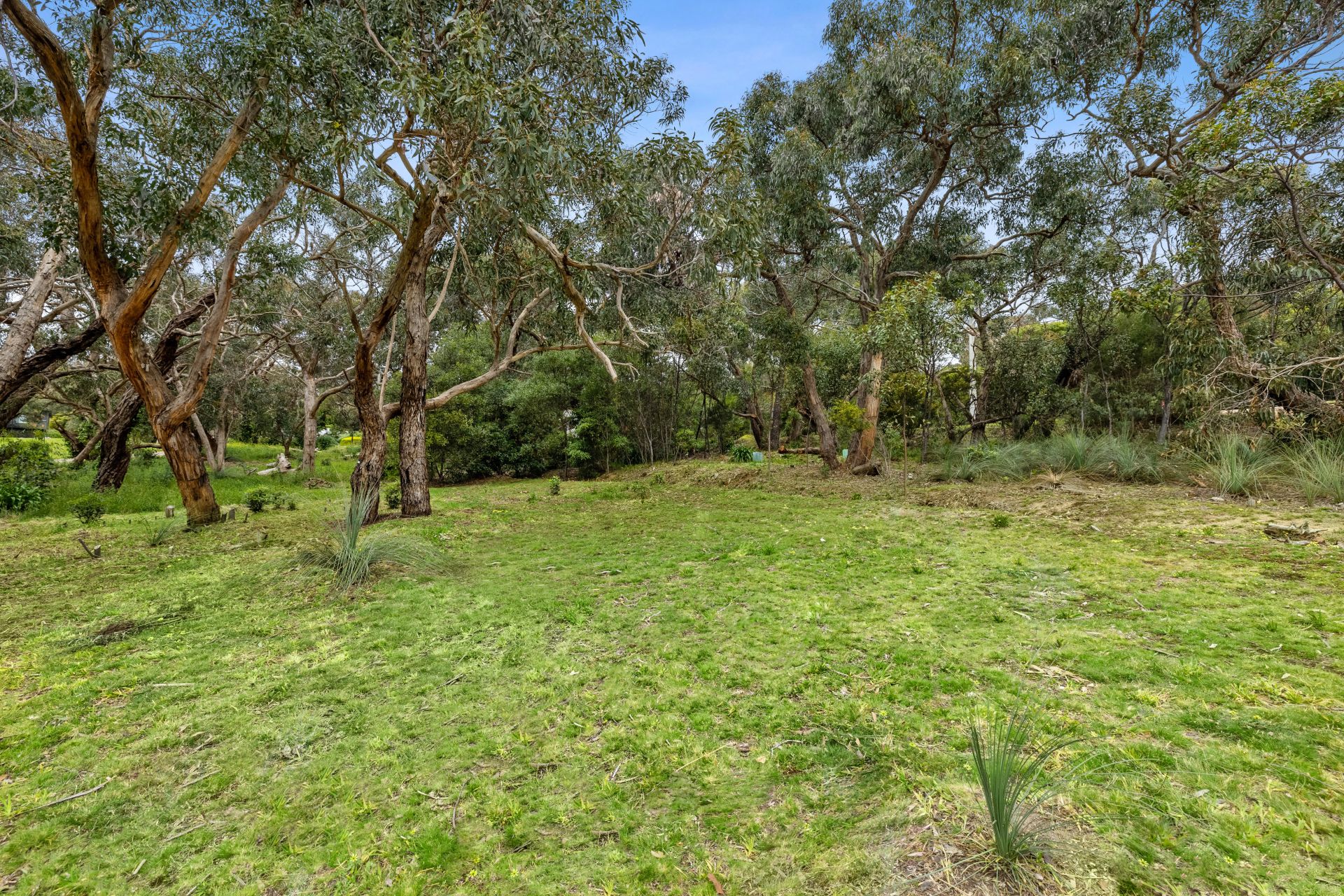 Real Estate For Sale 1A McMahon Avenue Anglesea , VIC