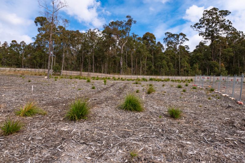 Real Estate For Sale 23 Turnock Drive Cameron Park , NSW