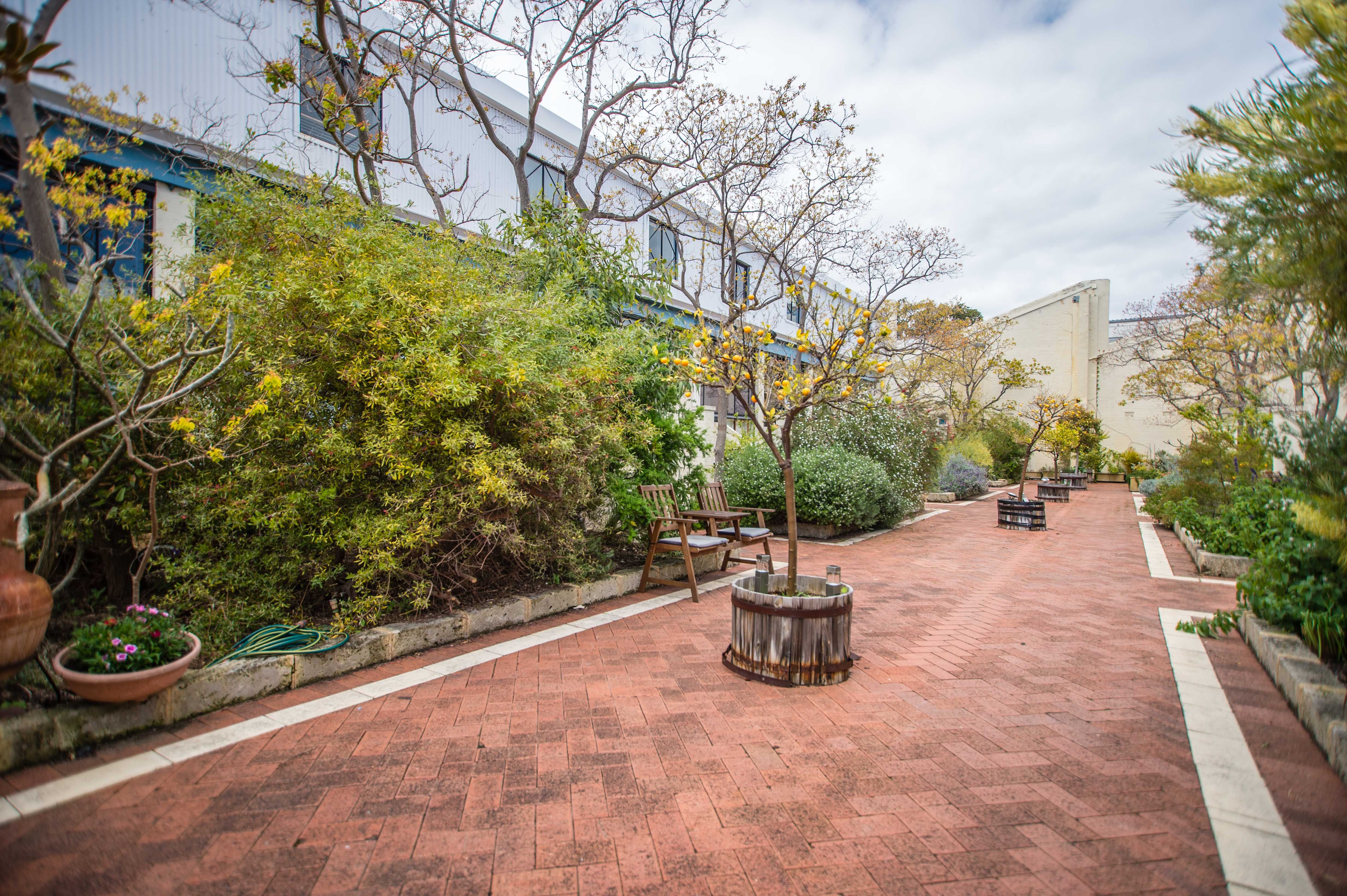 3/3 Ellen Street Fremantle , WA 6160 Townhouse For Lease 5048694