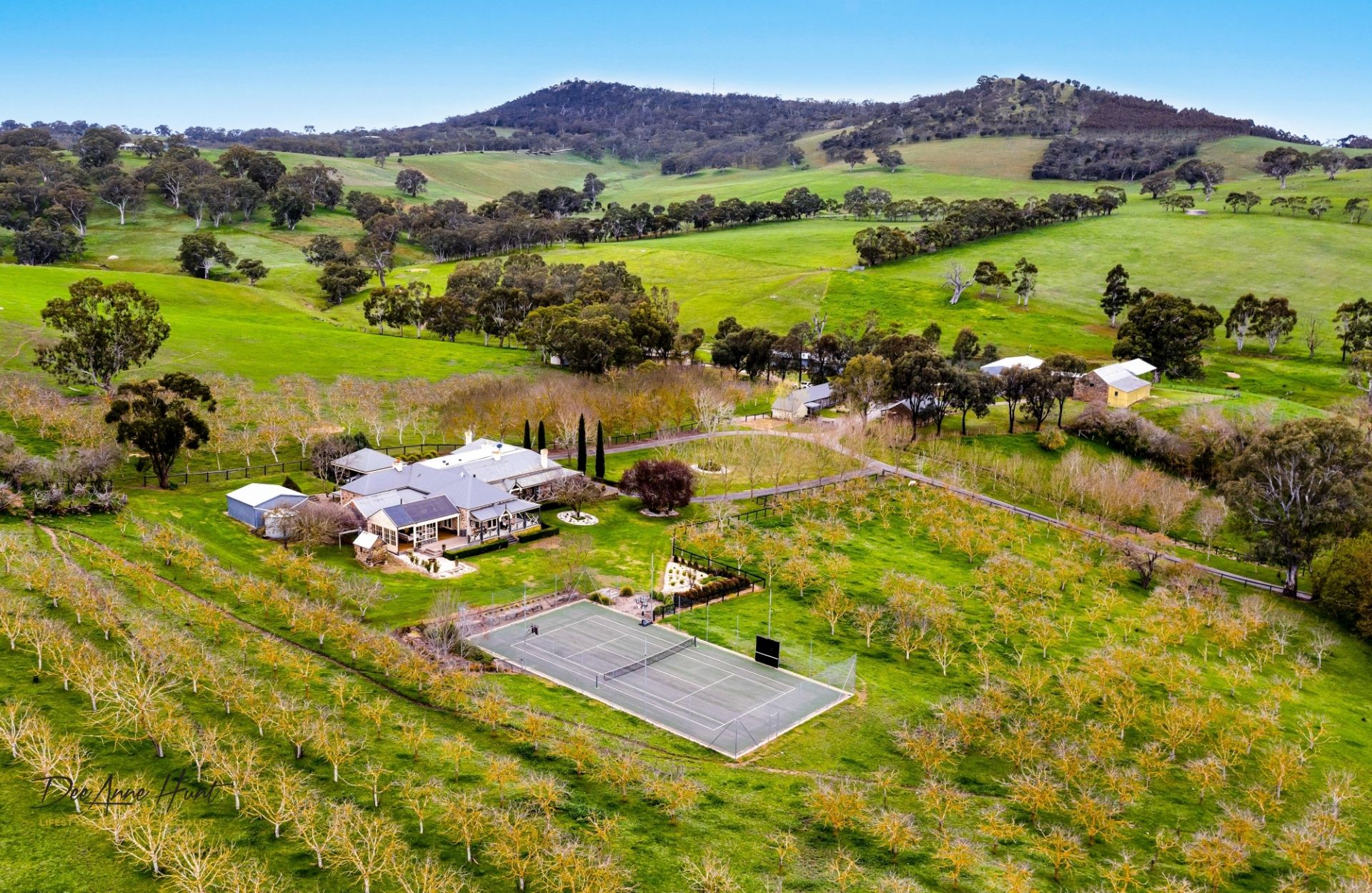 441 Springs Road, Mount Barker Springs Williams Real Estate