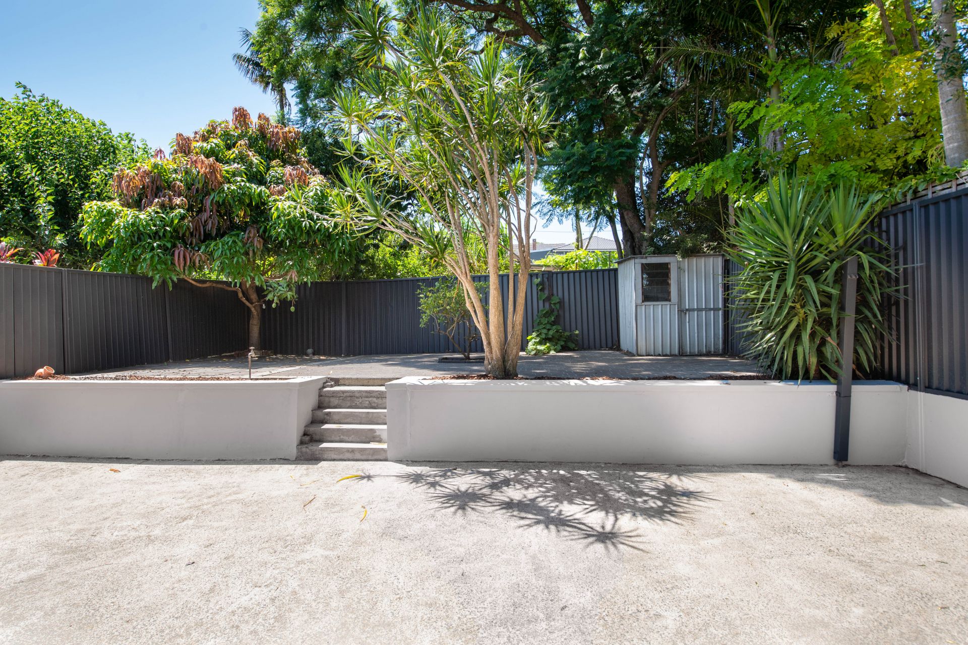Real Estate For Sale 1 Watkin Street Hurlstone Park , NSW