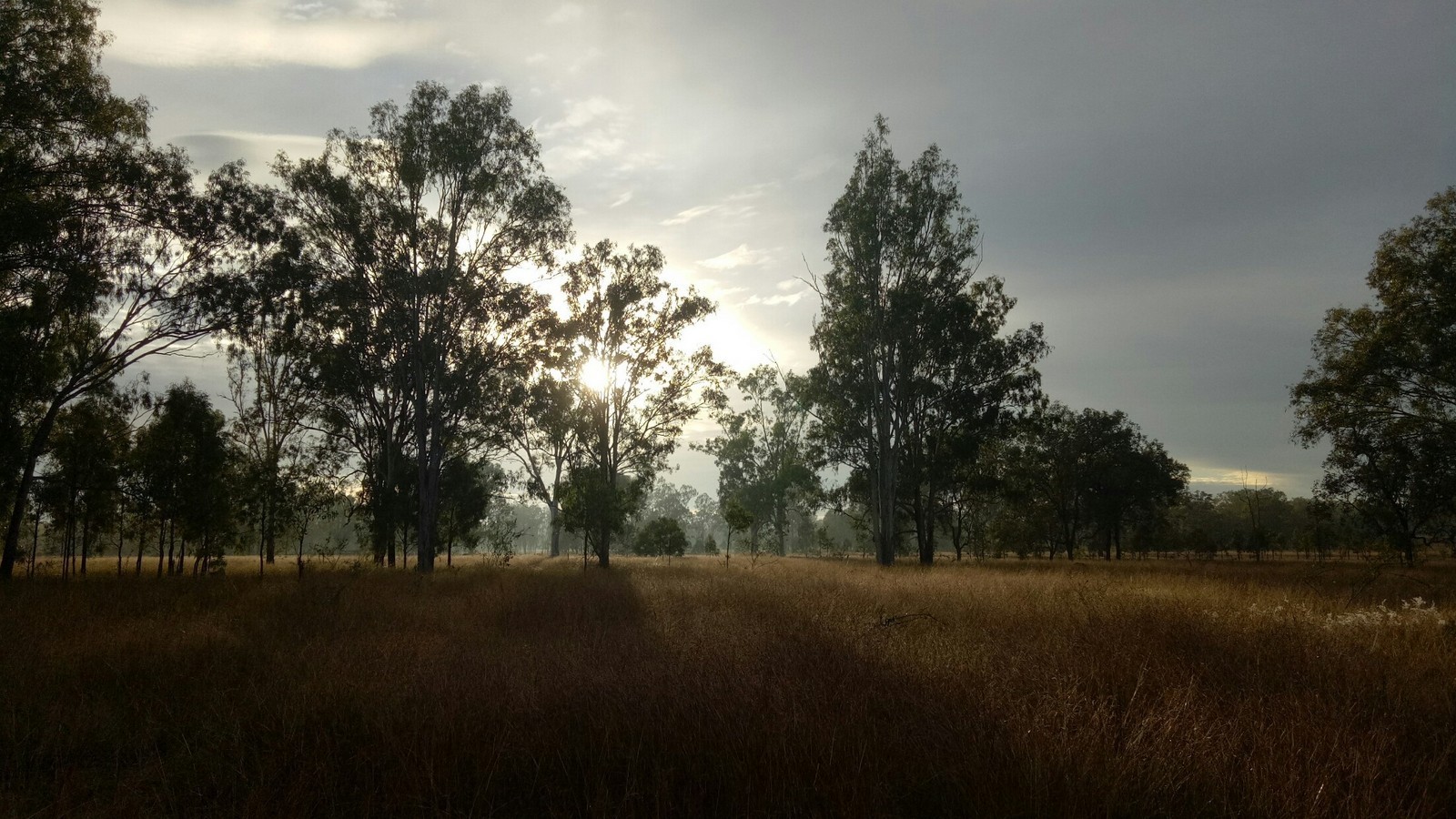 Real Estate For Sale Lot 74 Middle Road Purga , QLD