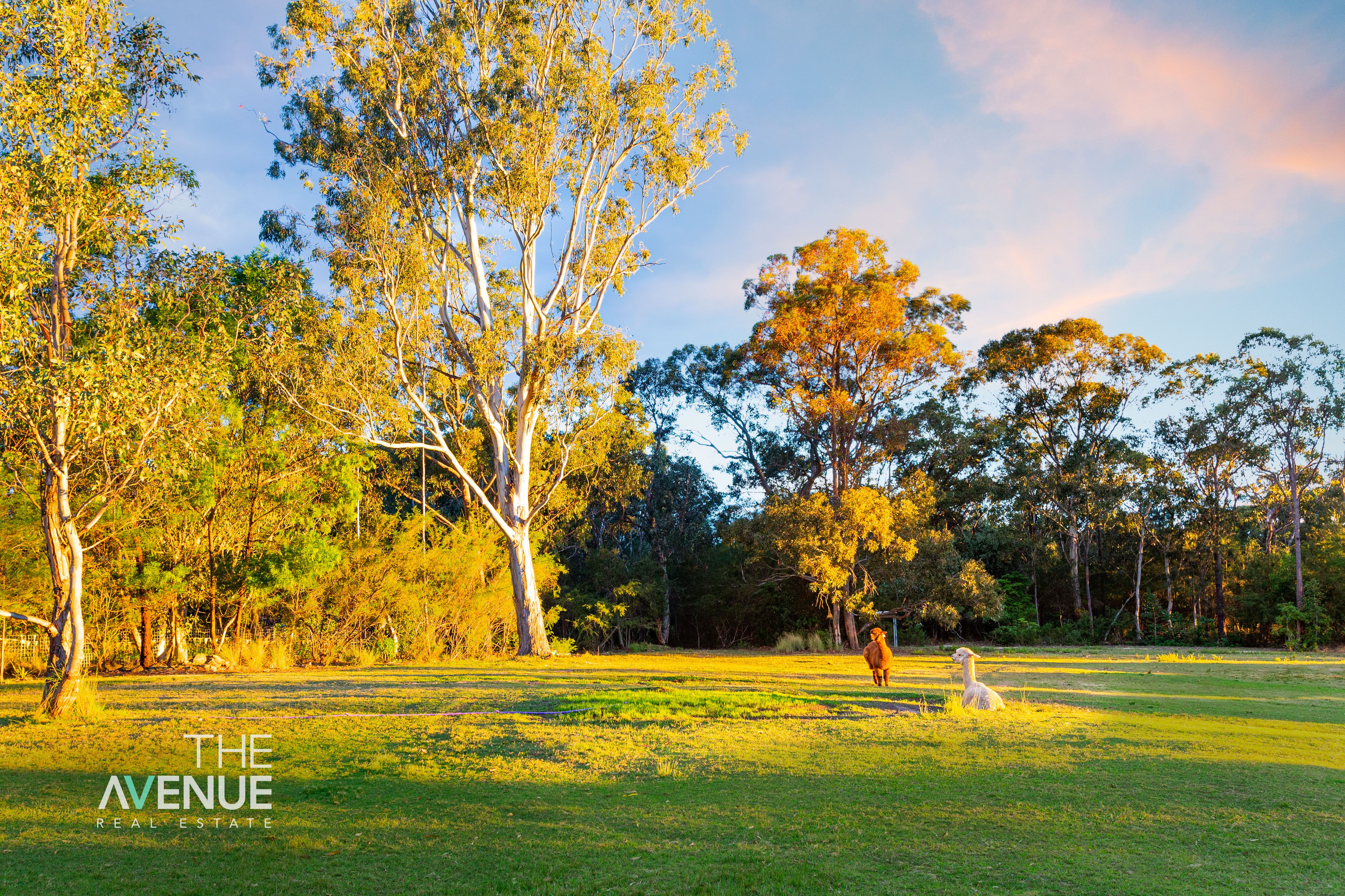 Real Estate For Lease 8 Bannerman Road Kenthurst , NSW