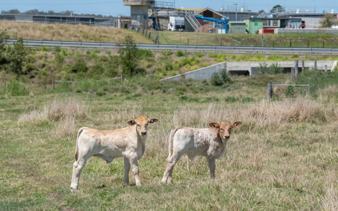 Real Estate For Sale 65 Helen Street Beaudesert , QLD