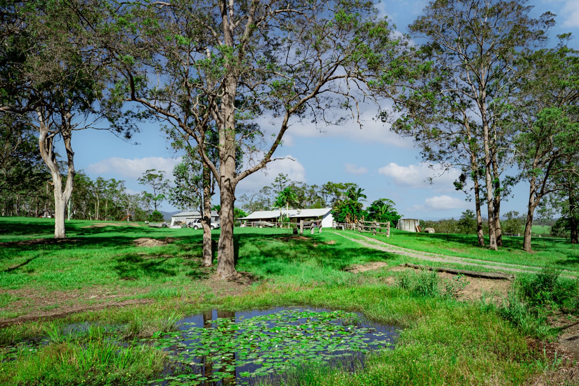 Real Estate For Sale 410 Turners Flat Road Turners Flat , NSW