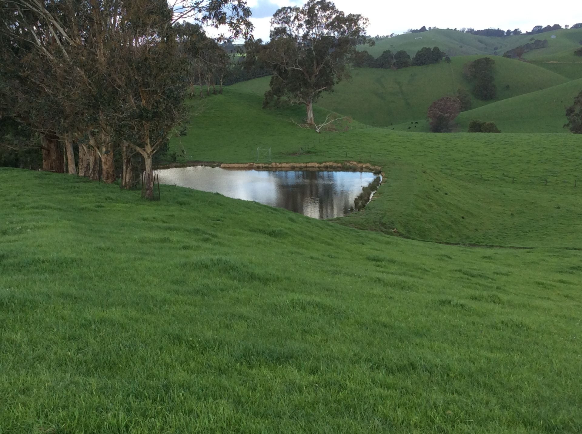 Real Estate For Sale 100 Schmidts Road Poowong East , VIC