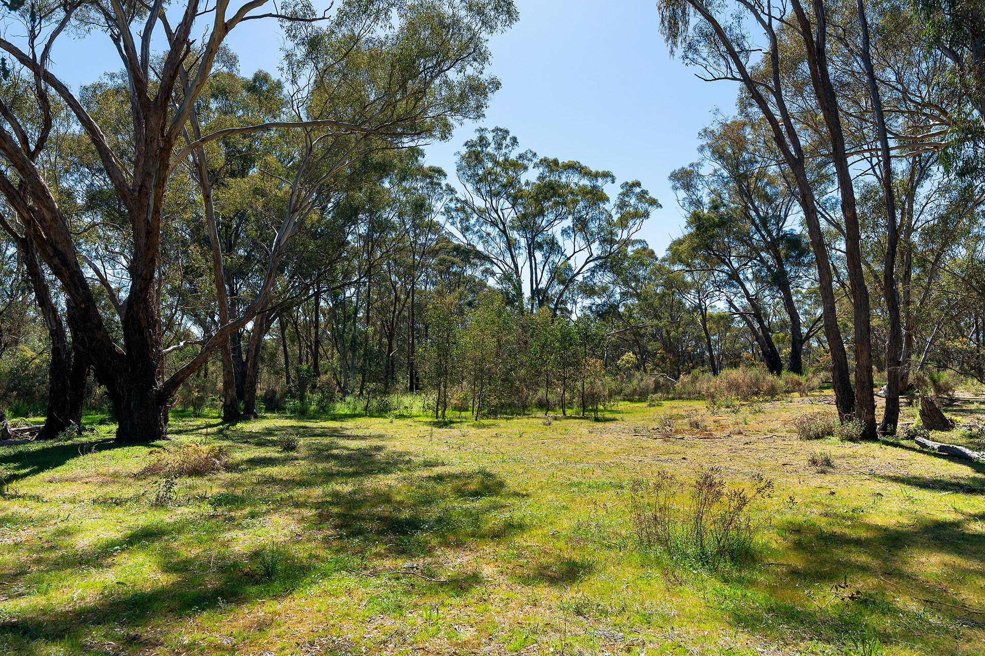 Lot 37E Mt. Camel Graytown Road, Redcastle Cantwell Property