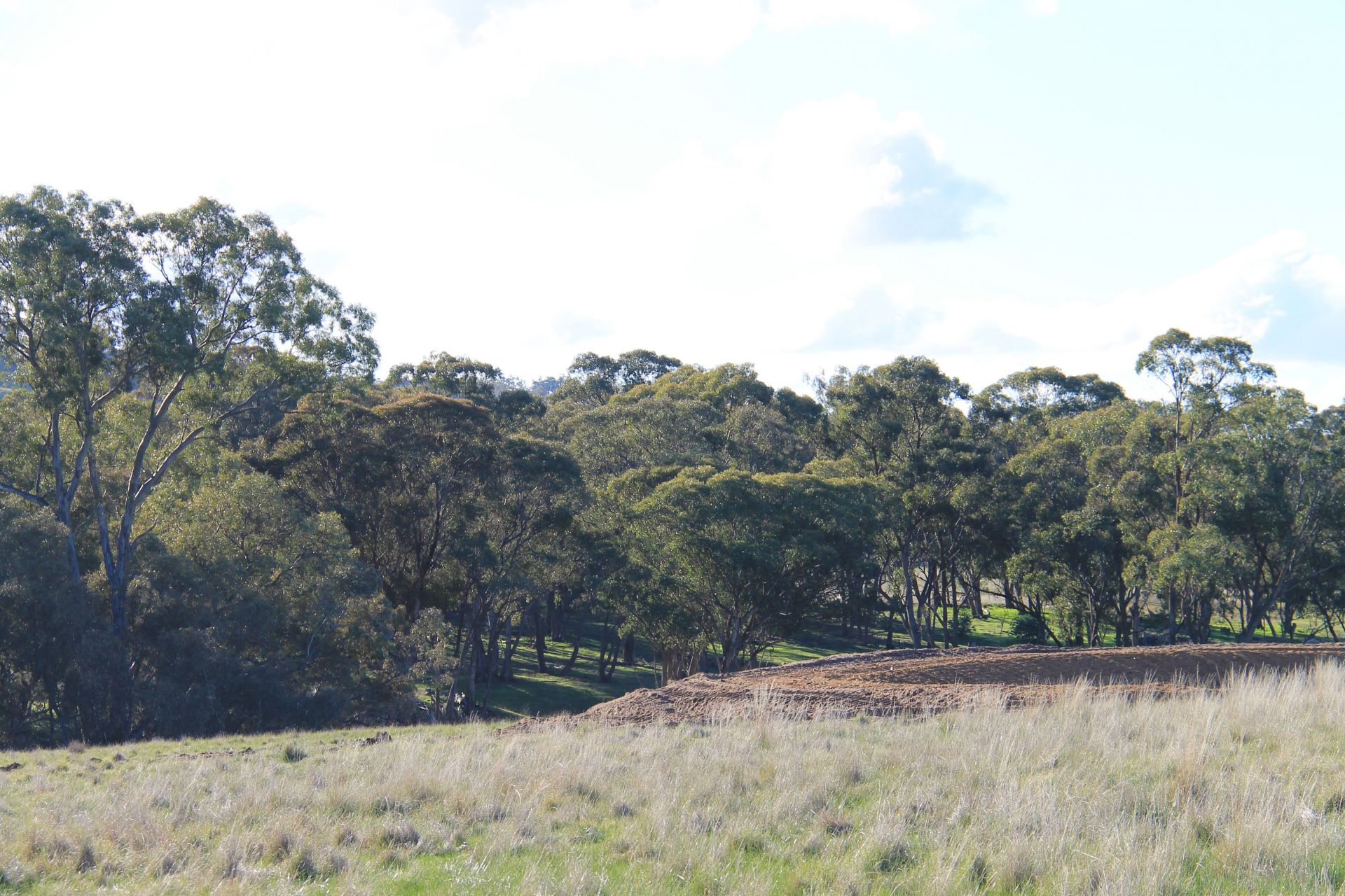 2/TP 863932U BendigoMaldon Road, Lockwood South Bendigo Real Estate