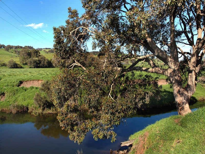 Real Estate For Sale Lot 36 Shenton Road Burekup , WA