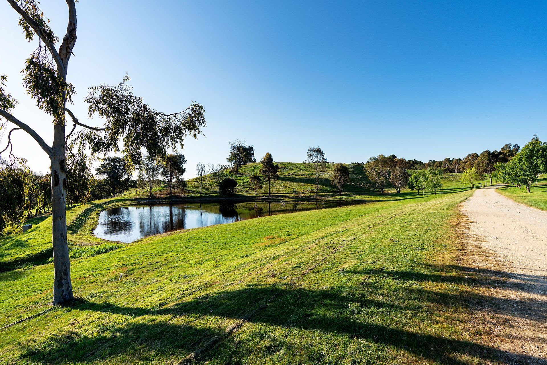 66 Mccay Reservoir Road, Chewton Cantwell Property Castlemaine