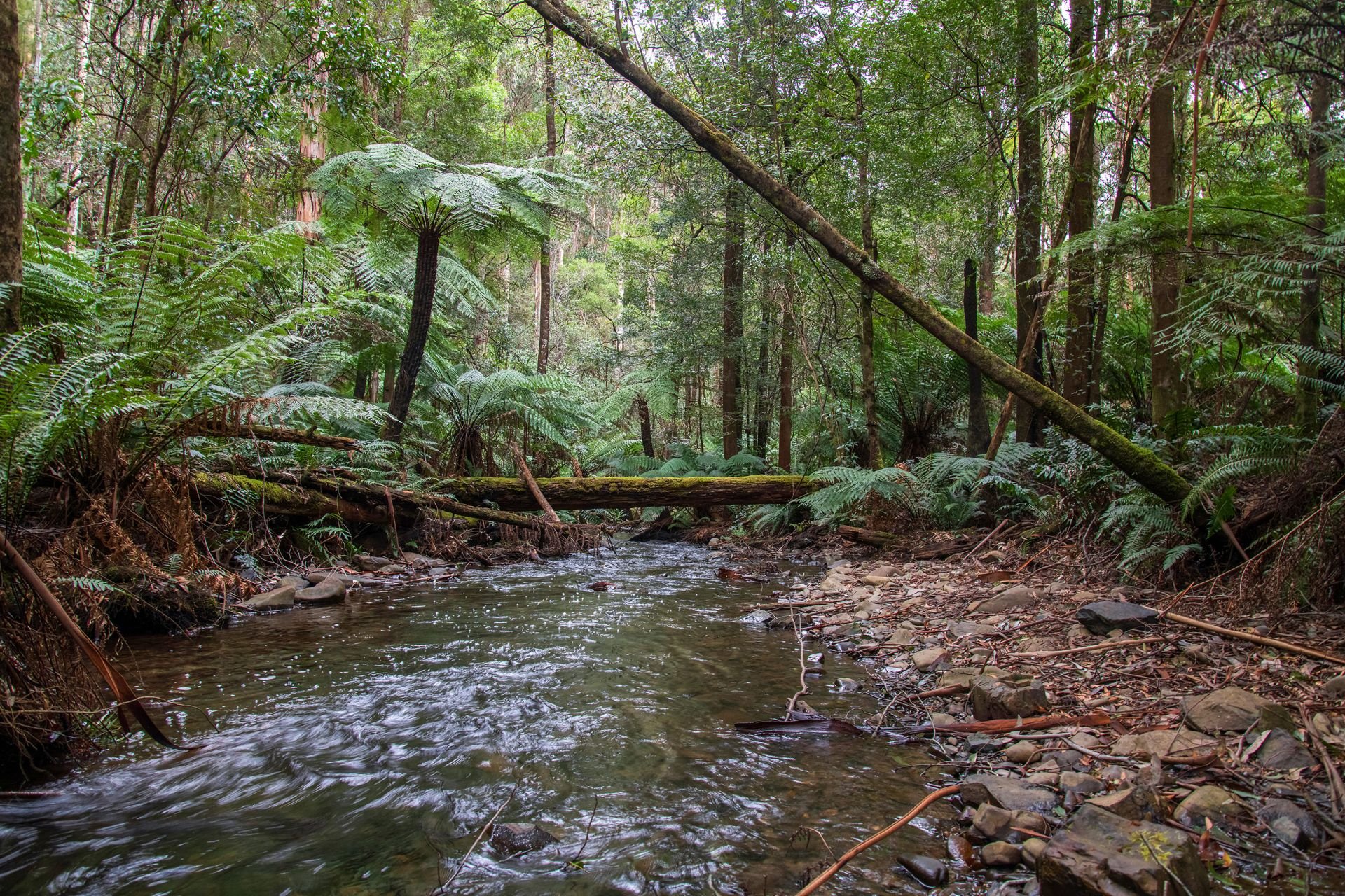 1/ Mount Baw Baw Tourist Road, Icy Creek OBrien Real Estate