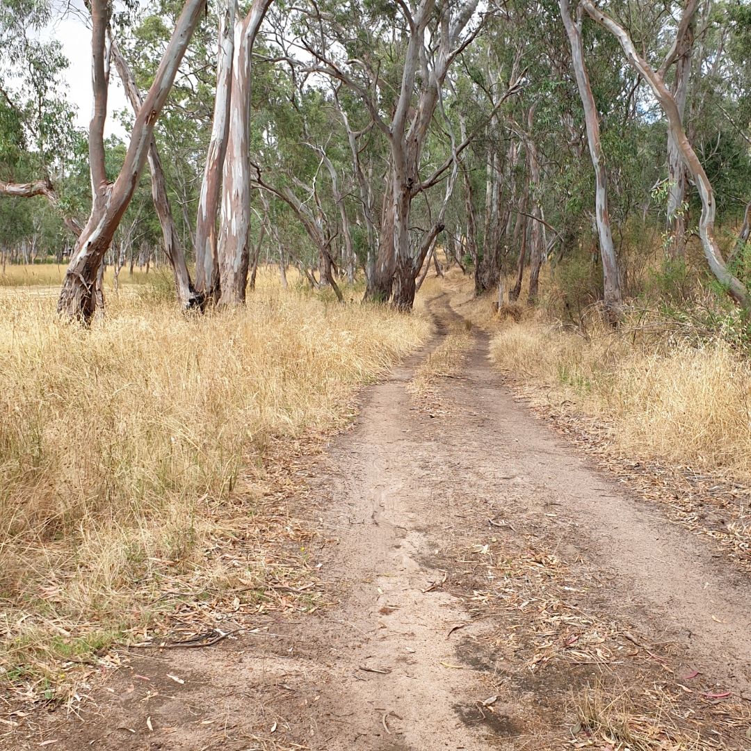 Real Estate For Sale Lot 18/ HarrowCasterton Road Harrow , VIC