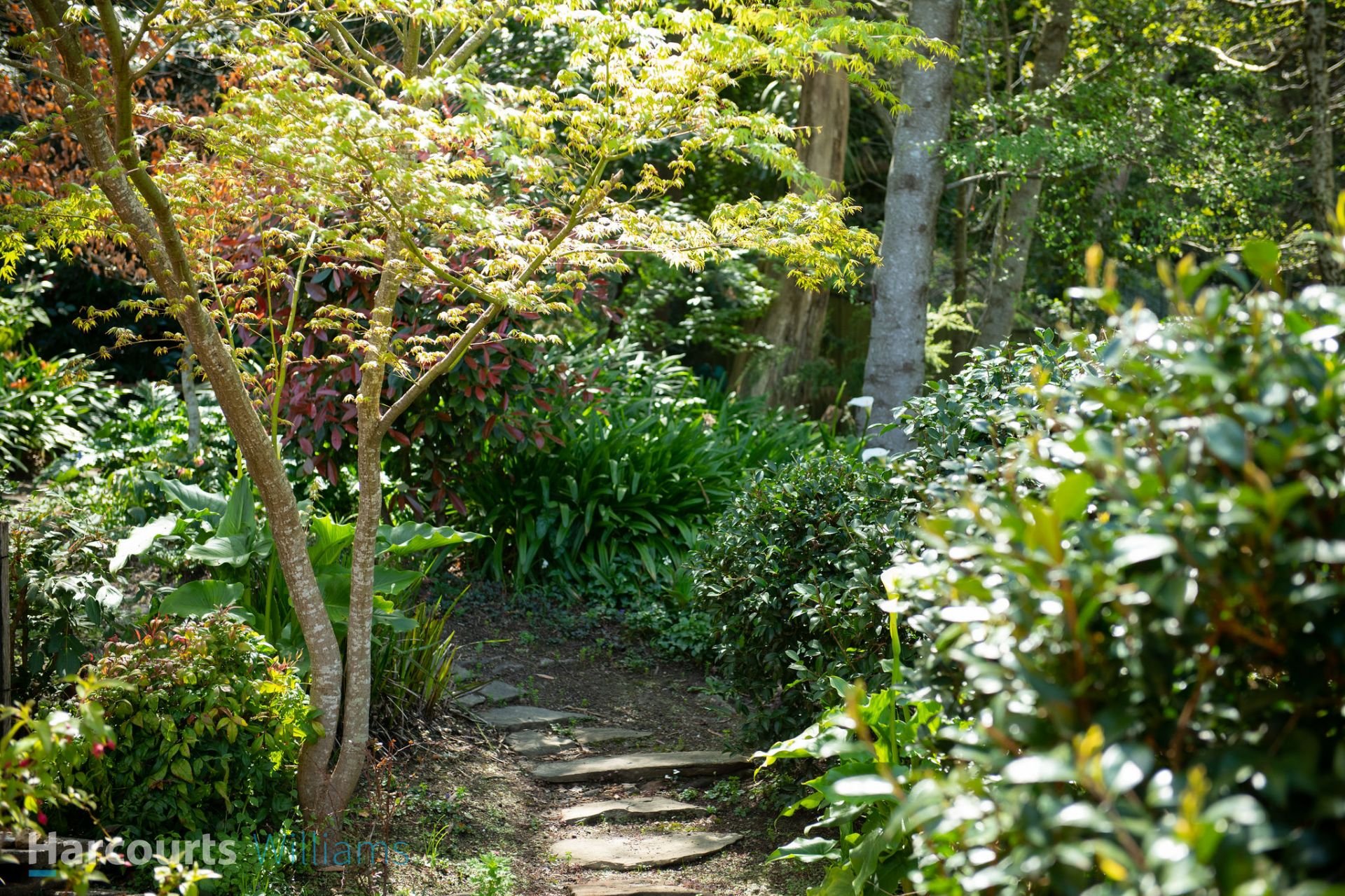 3/9 Pomona Road, Stirling Williams Real Estate