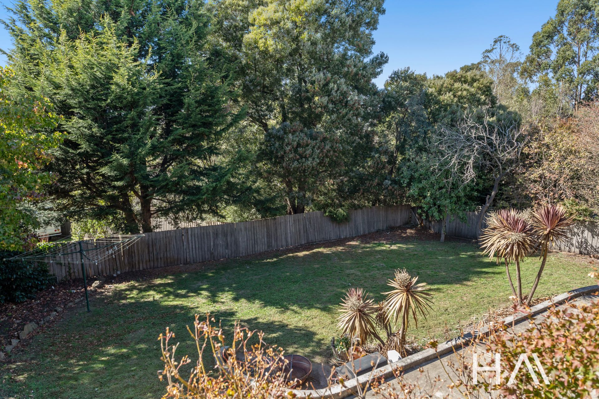 17 Armidale Street, Norwood Harrison Agents