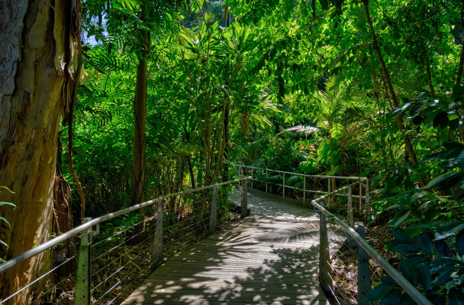 36 Goodwin Street, Edge Hill OBrien Real Estate