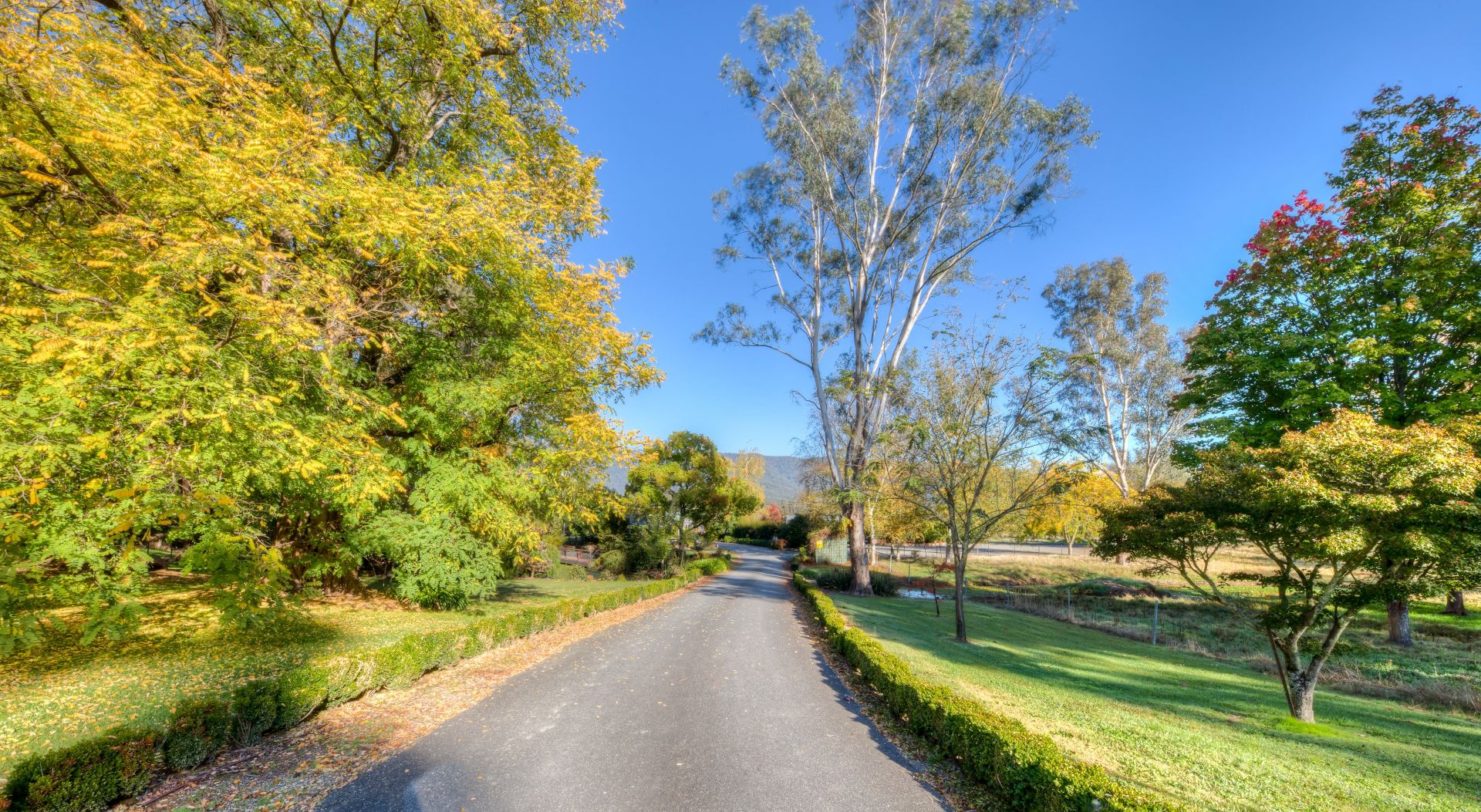 6430 Great Alpine Road, Eurobin Dickens Real Estate