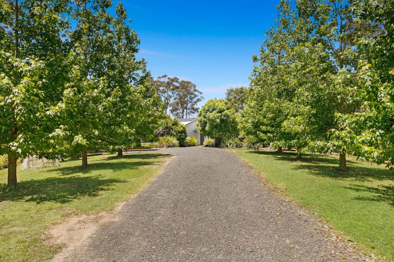 Real Estate For Sale 114 Priests Ridge Road Cedar Brush Creek , NSW