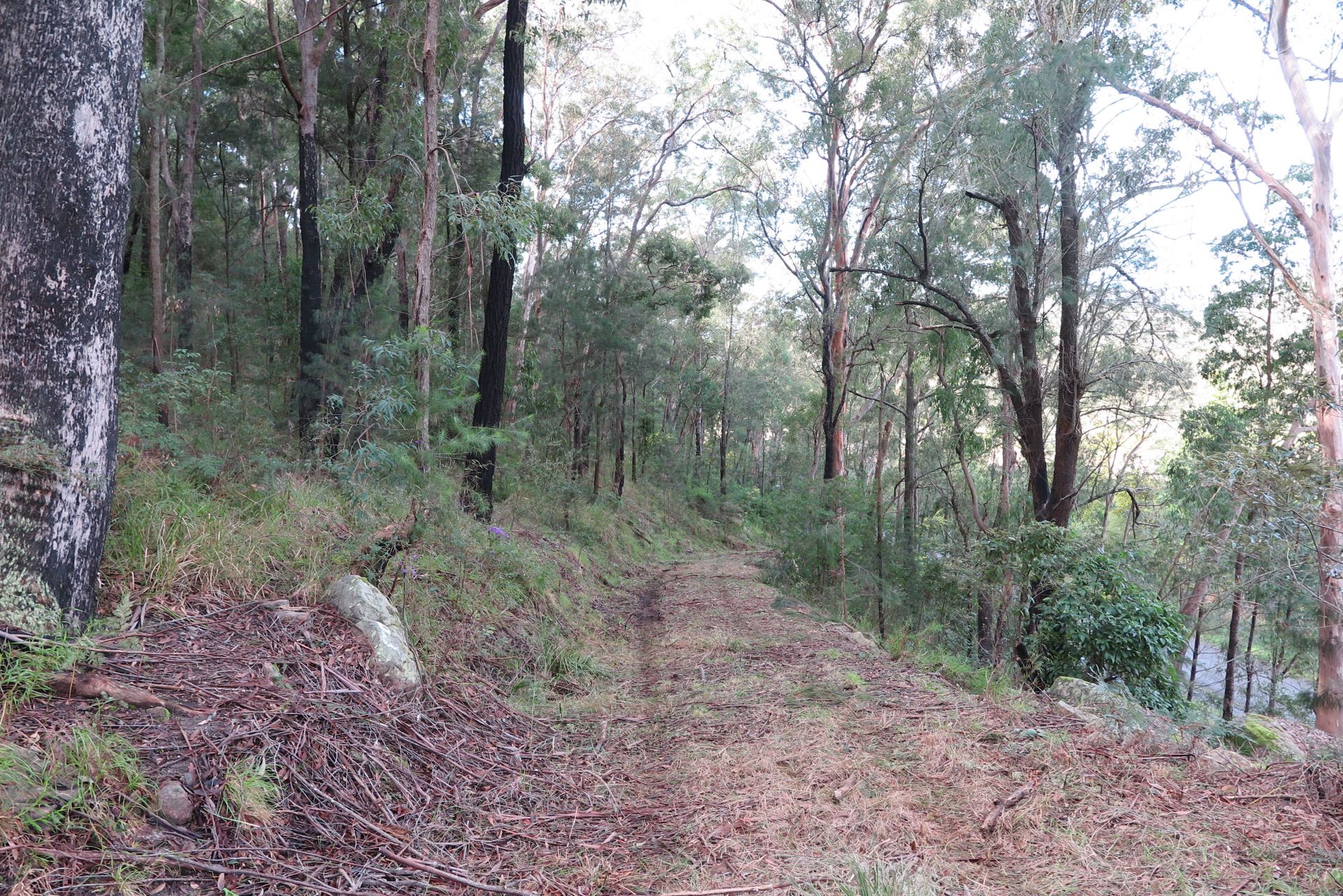 Real Estate For Sale 171 bs Creek Road bs Creek , NSW