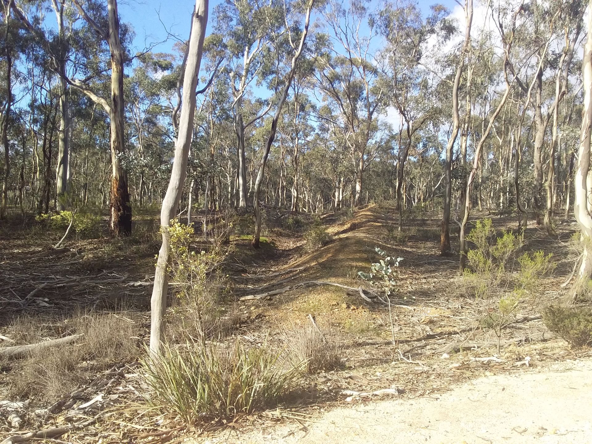 Lot 3 Alice Street, Dunolly Priority1 Property