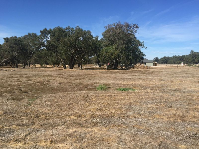 Real Estate For Sale Lot 203 Bourne Loop Stratham , WA